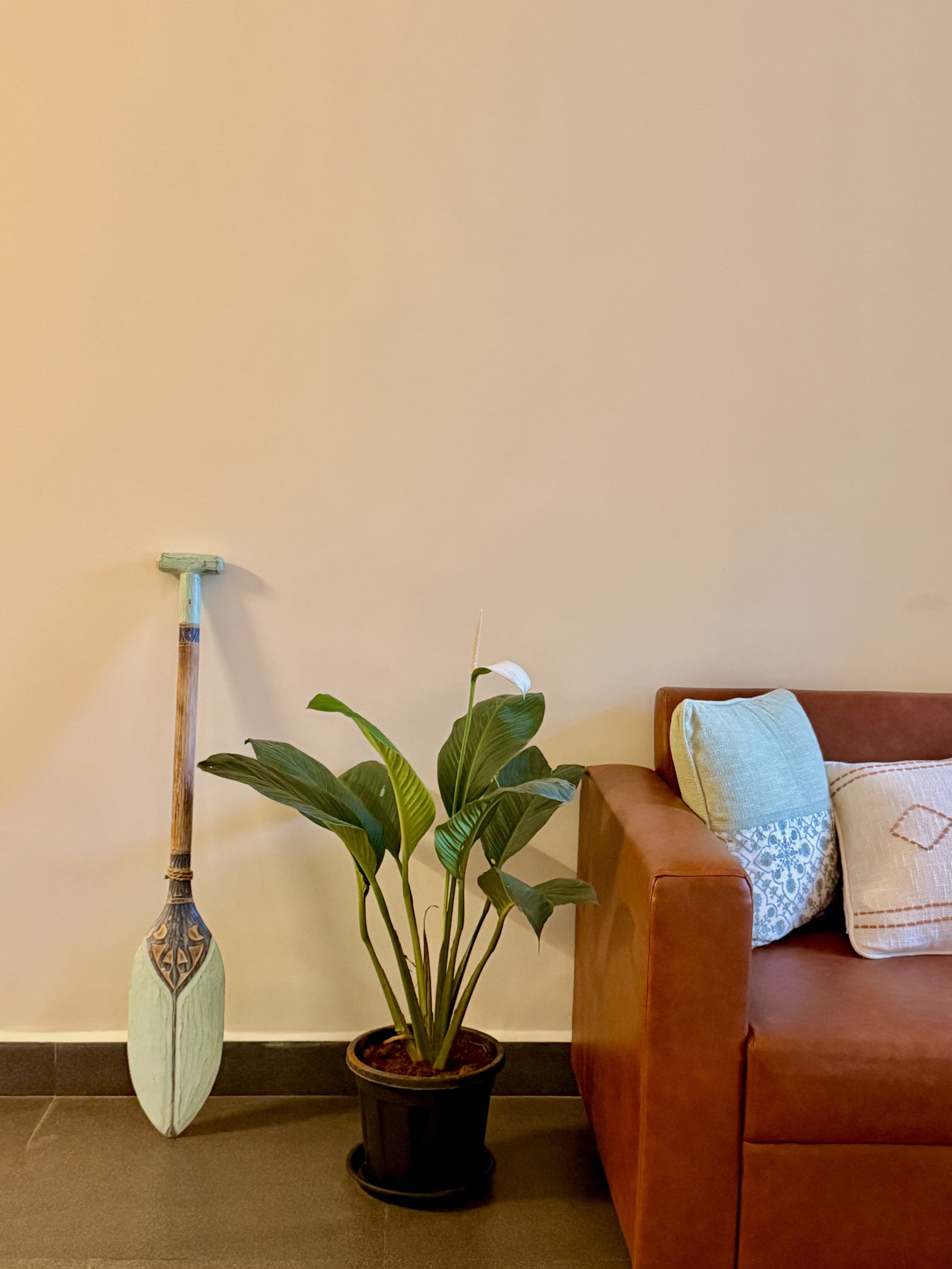 Aguada Beach-side House 9