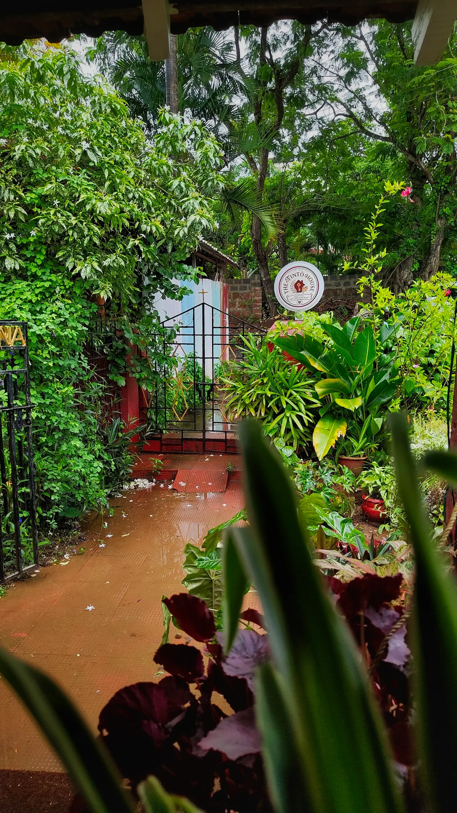 The Tintô House 10