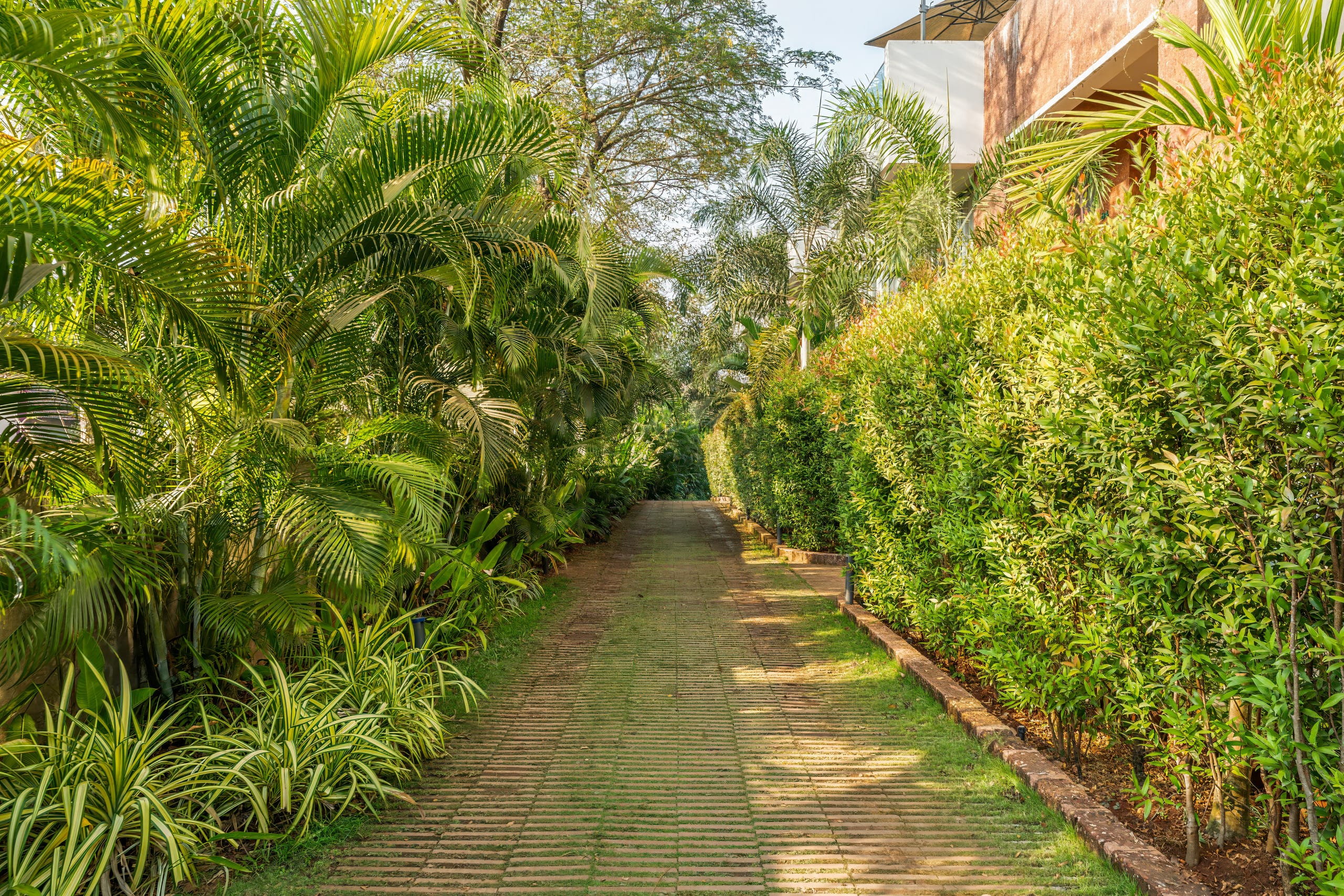 Sereno Blooms 2bhk villa w/pool & patio Assagaon 35