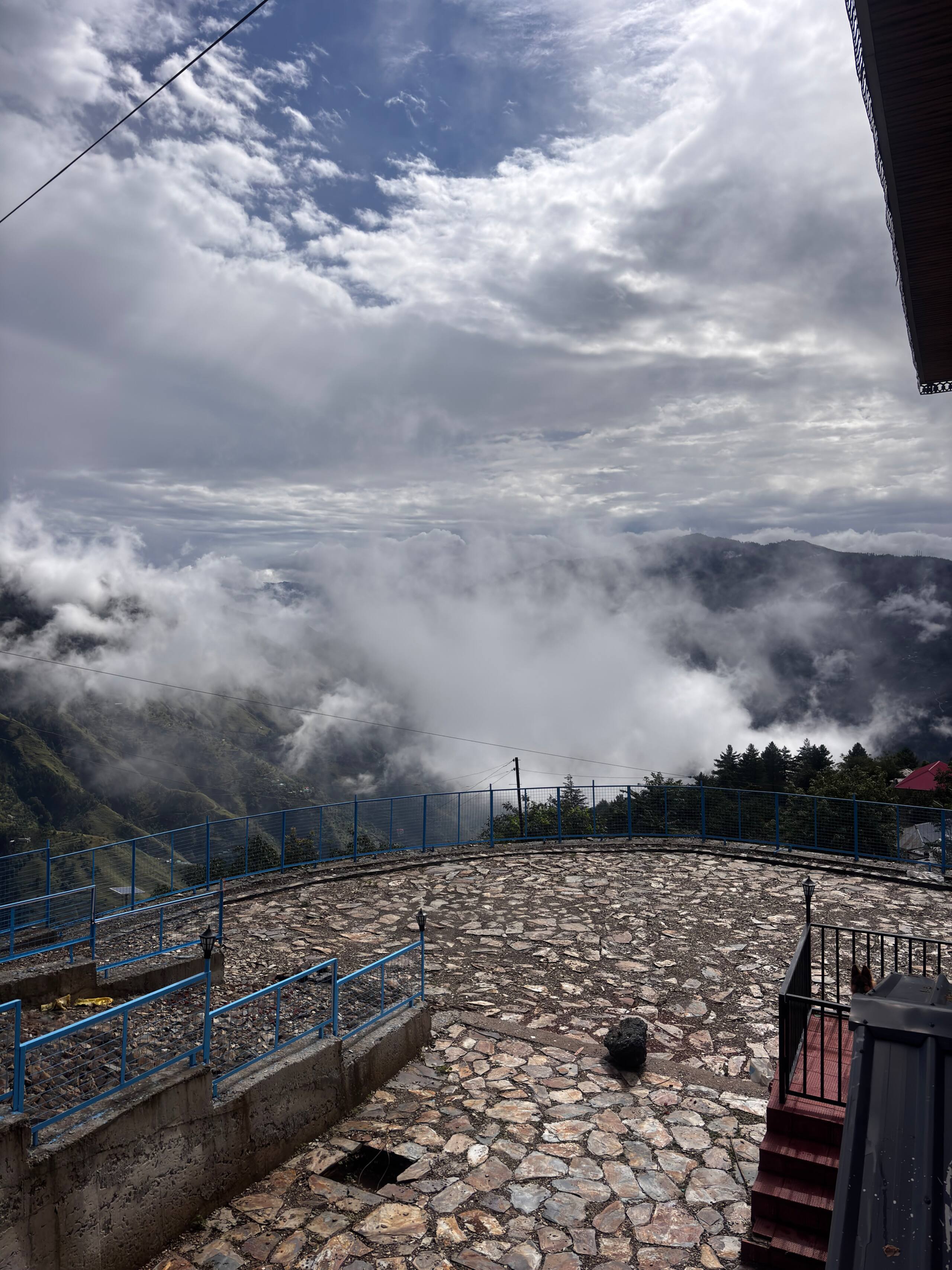 The hidden hedges - Himalayan Horizon House 17