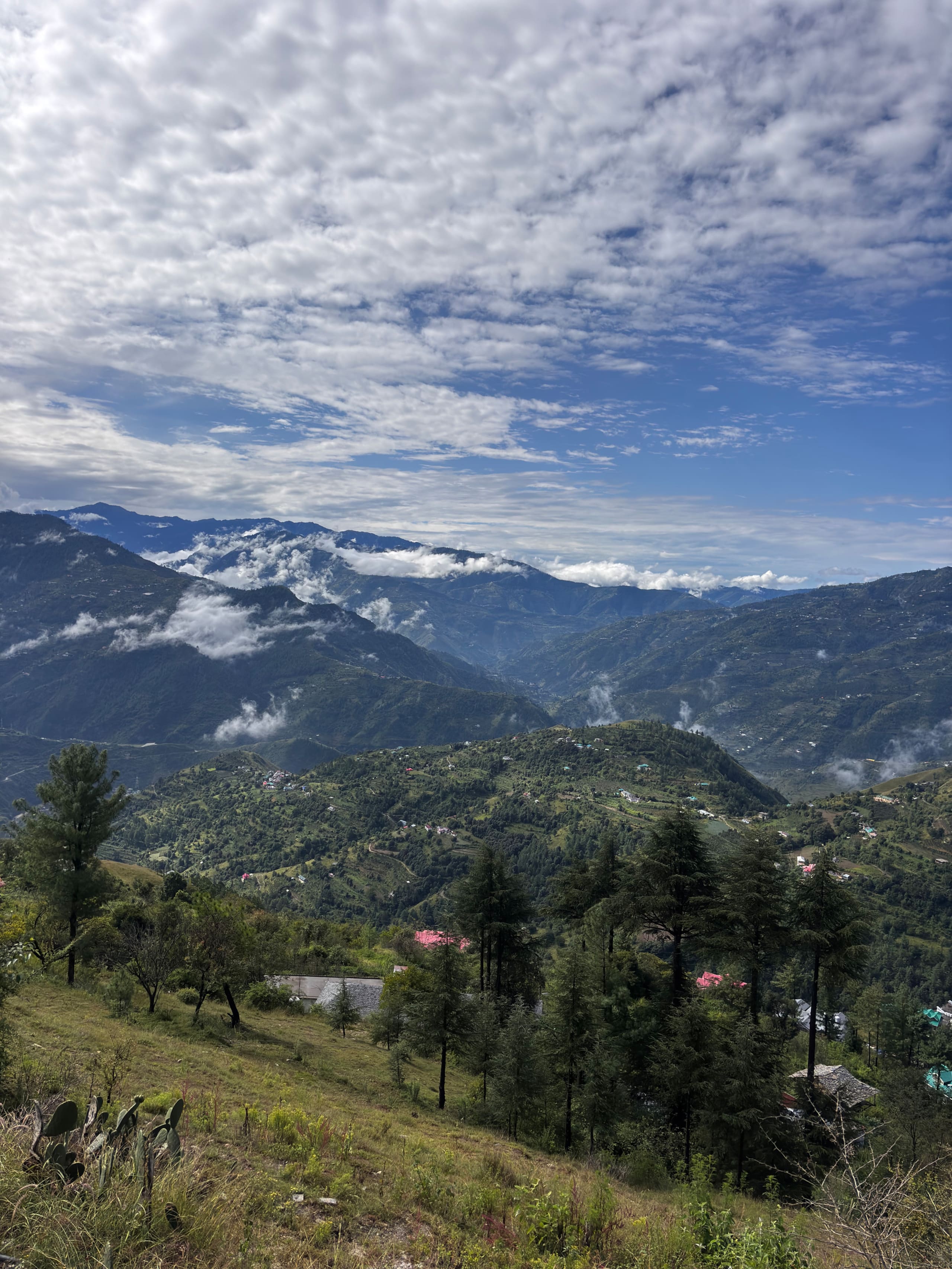 The hidden hedges - Himalayan Horizon House 18