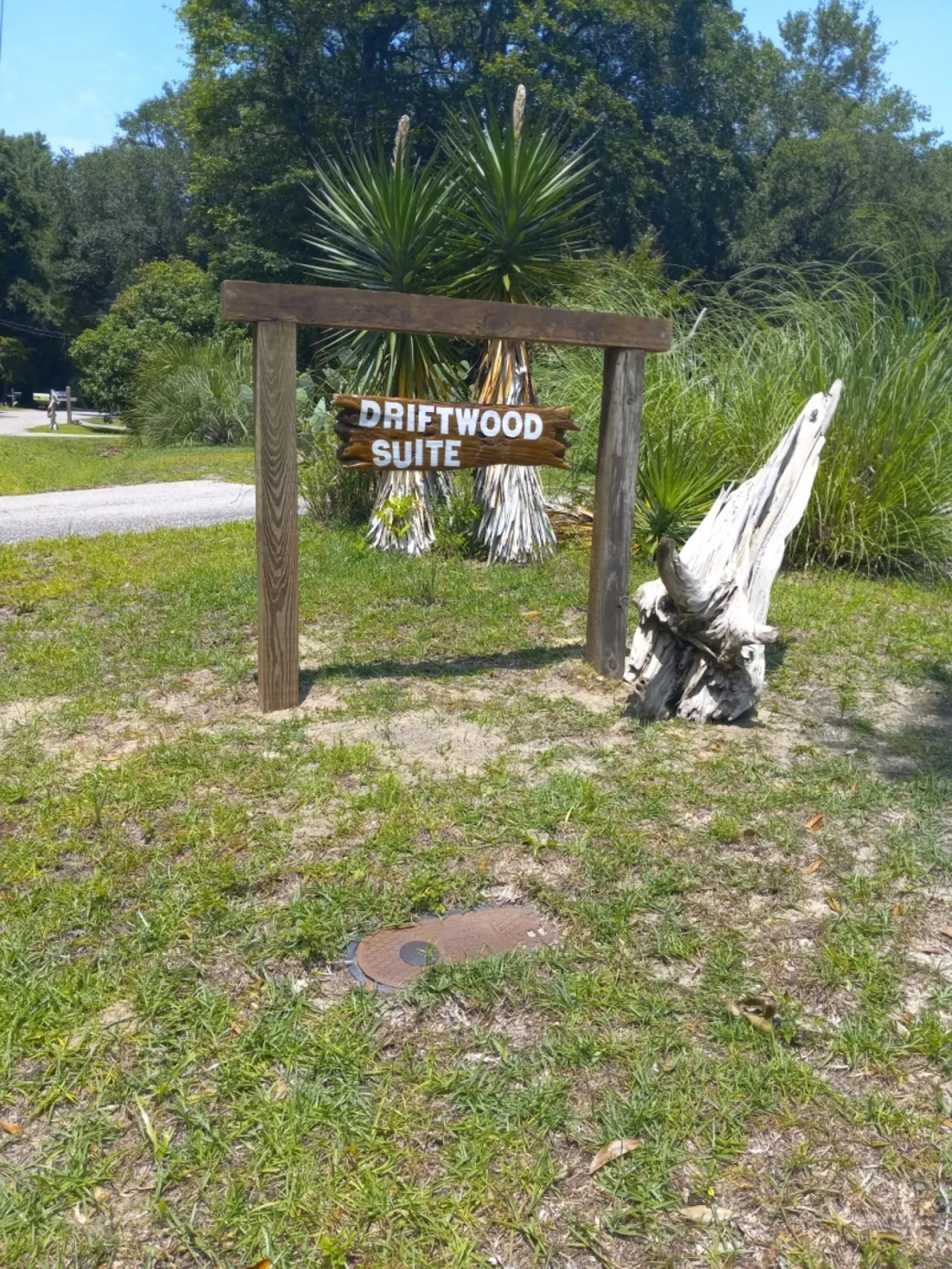 Driftwood Suite - 1bd/1ba Guest Suite - CCU/Conway 2