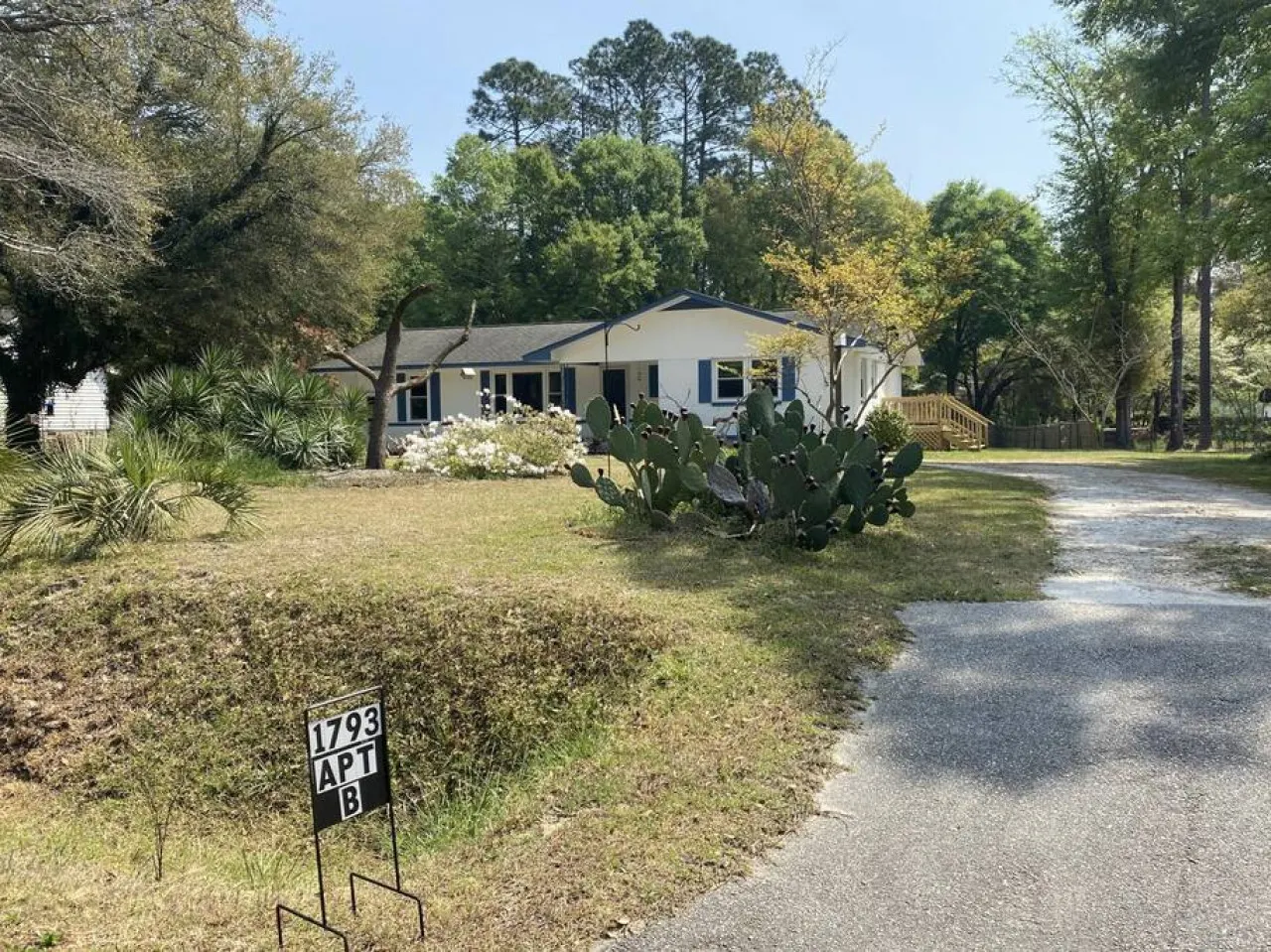 Driftwood Suite - 1bd/1ba Guest Suite - CCU/Conway 4