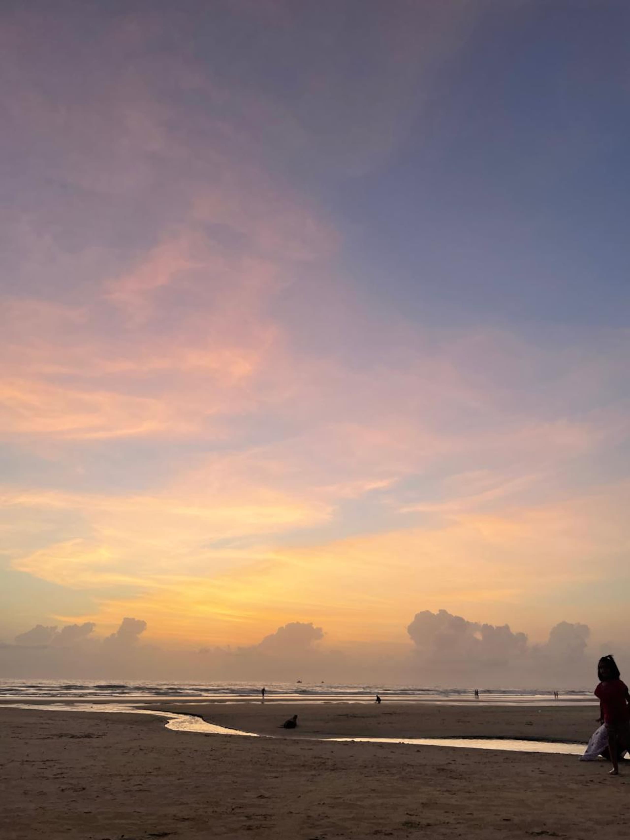 Roland's Cove in South Goa 14