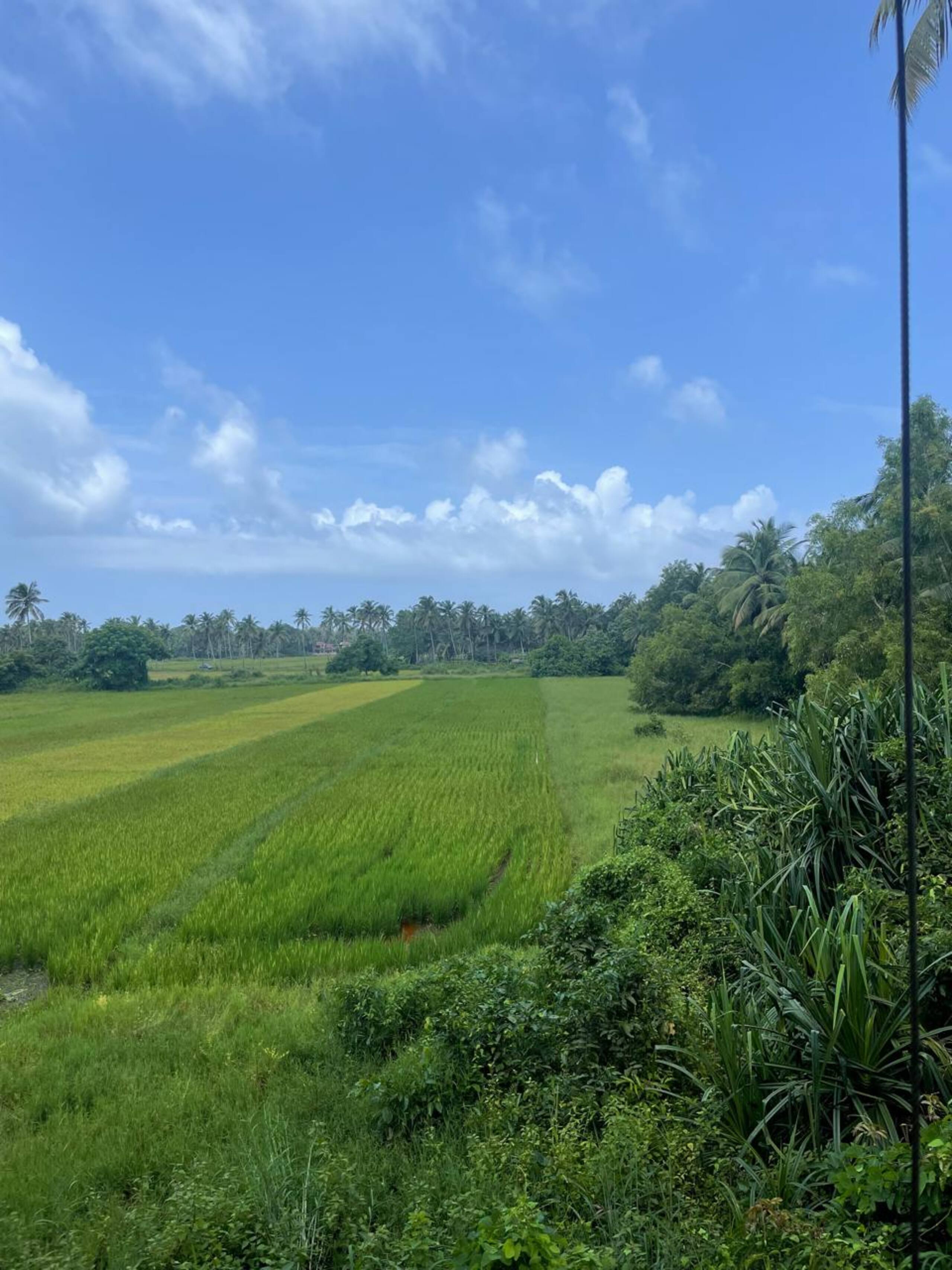 Roland's Cove in South Goa 16