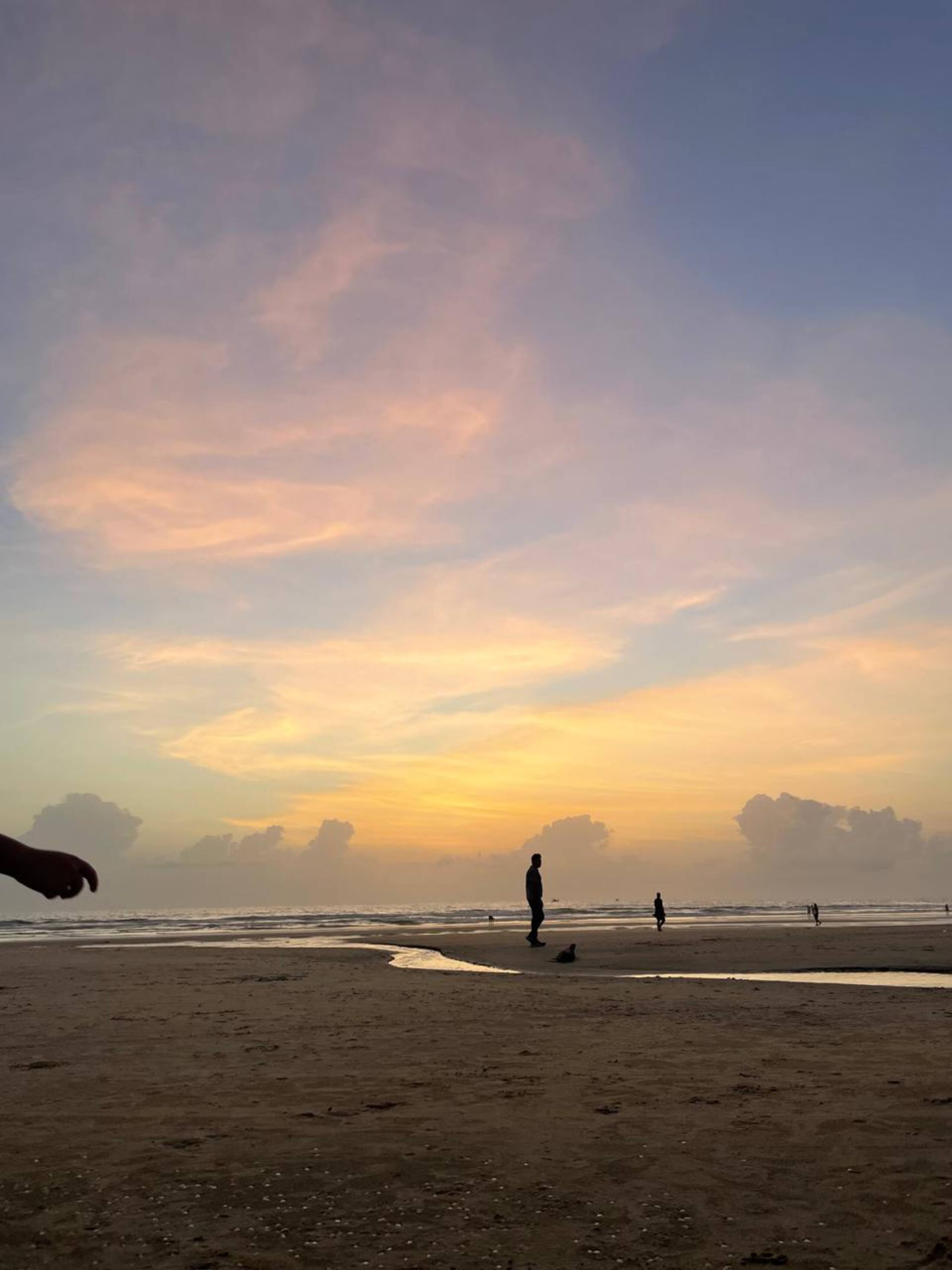 Roland's Cove in South Goa 15