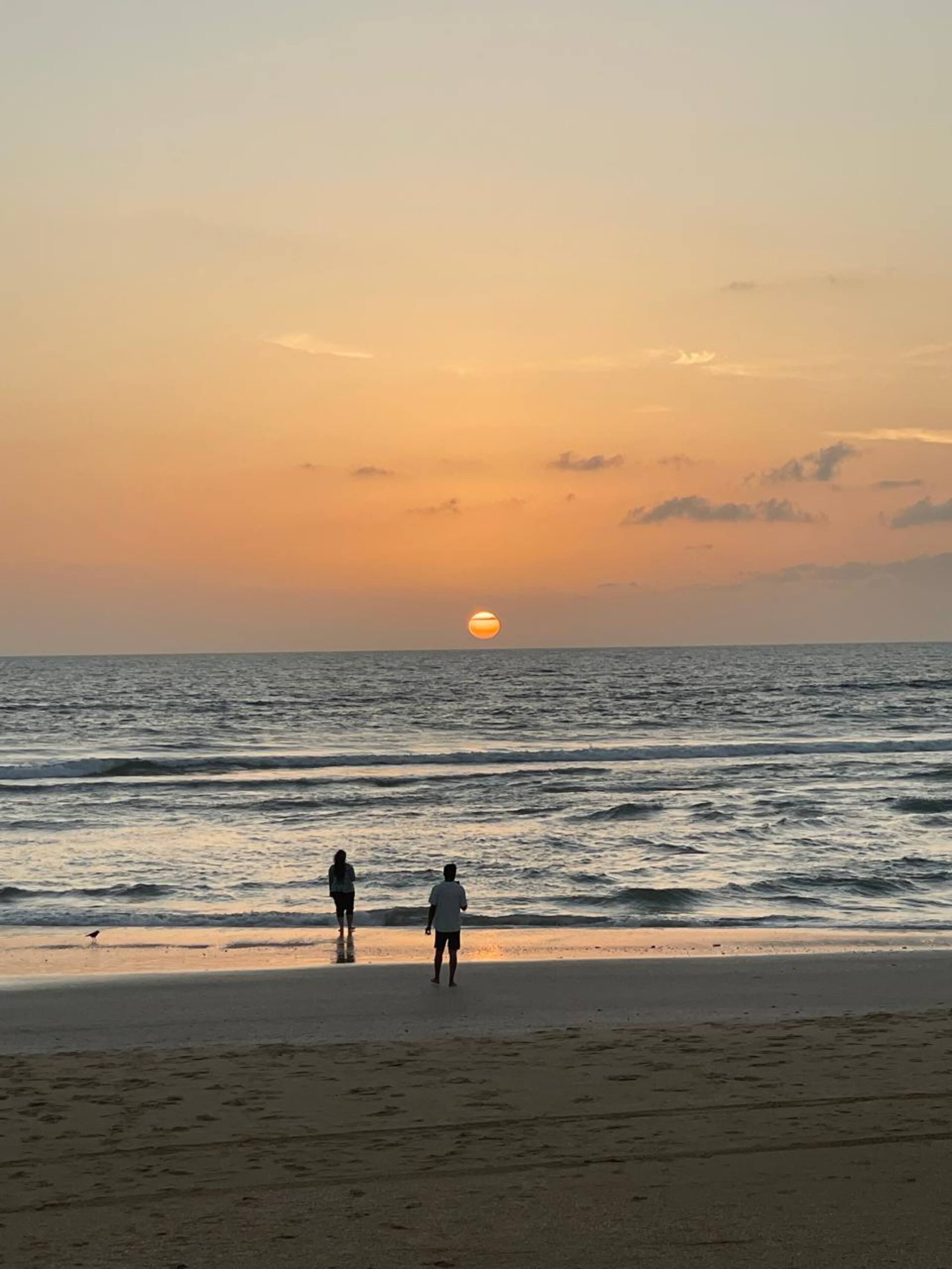 Roland's Cove in South Goa 13