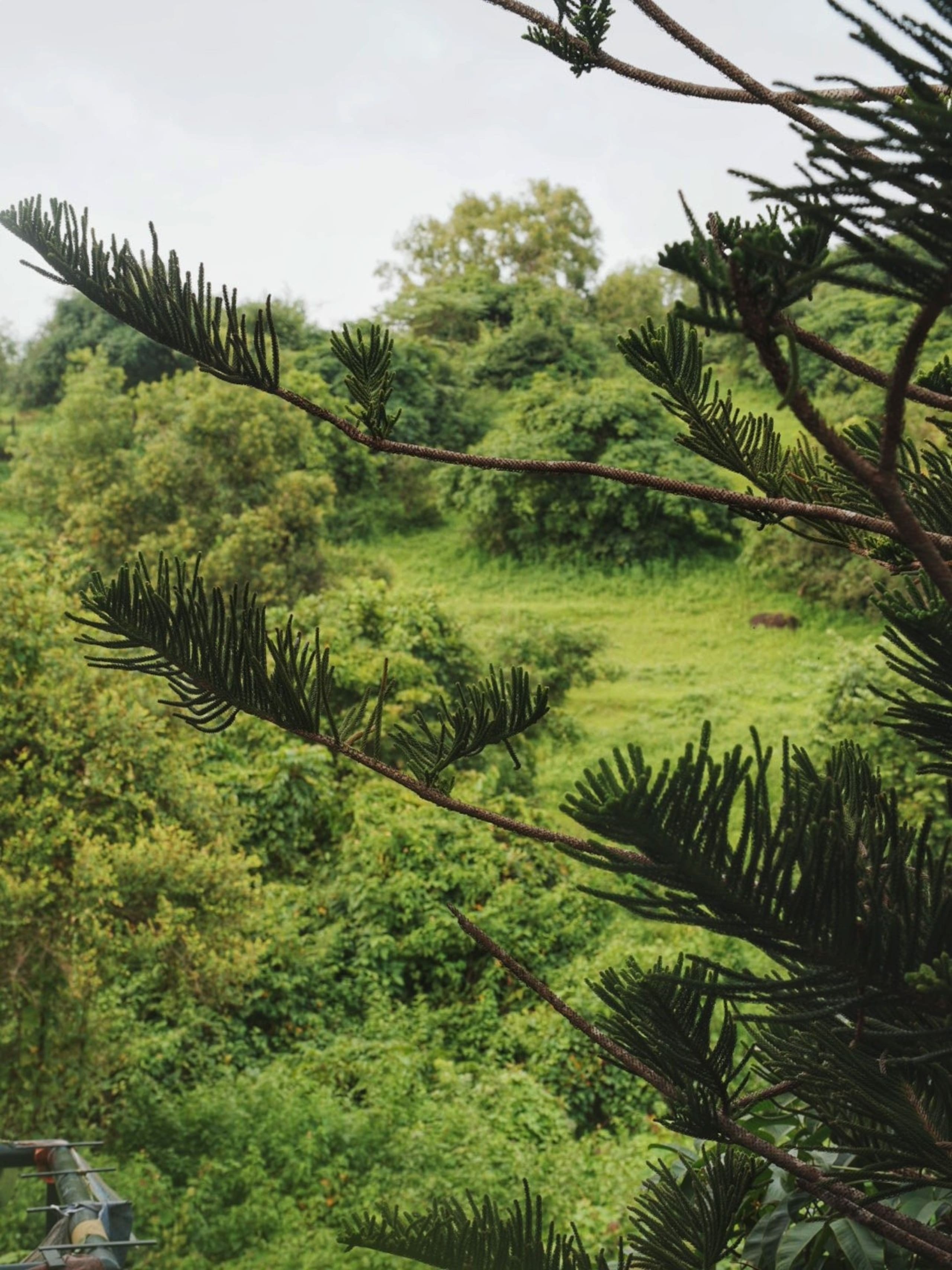 The Tree House Nerul 36