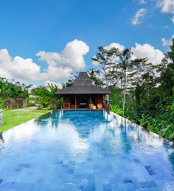 Beautiful Joglo Villa Surround by Ricefield — photo 4