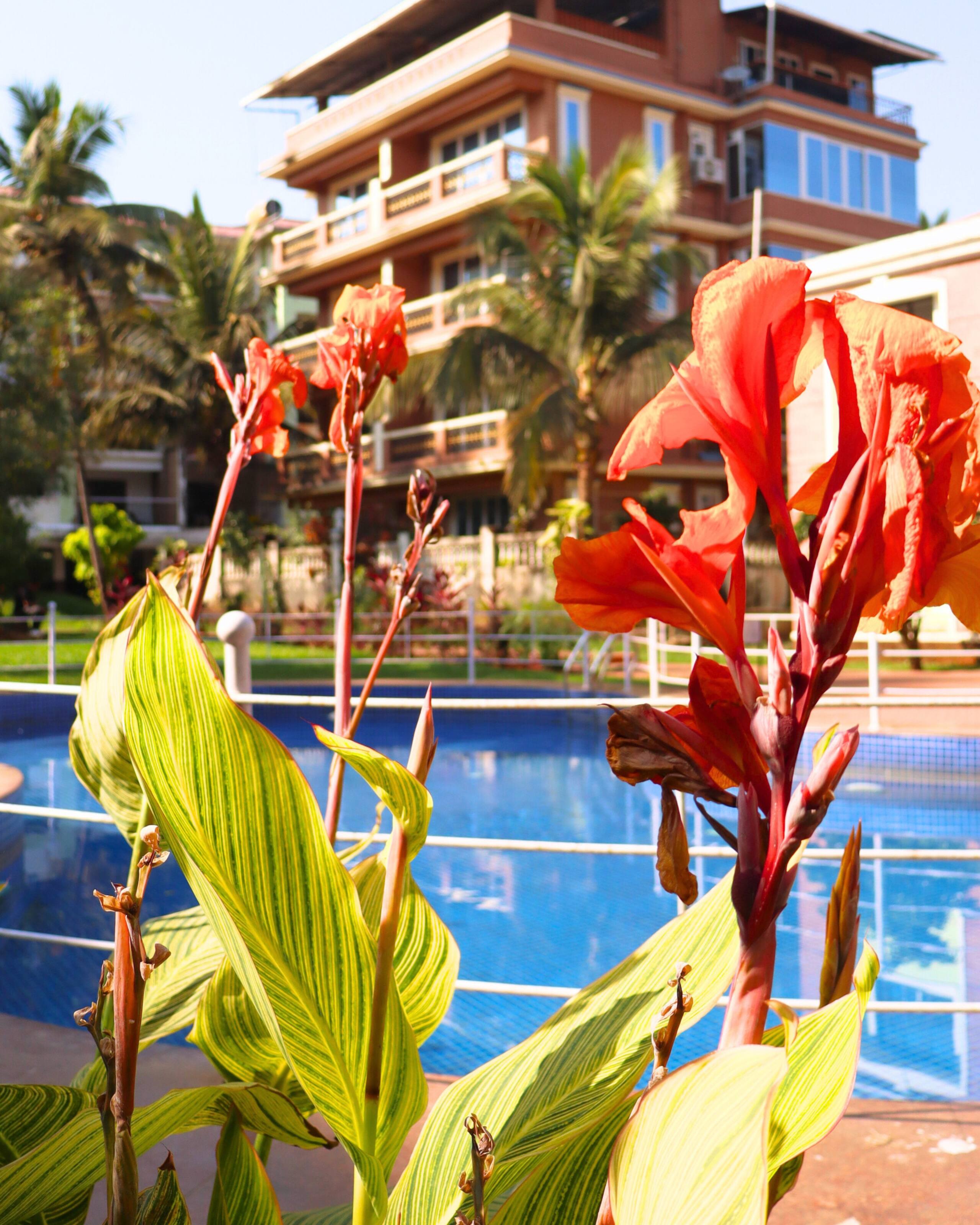 Beach-Close Living at Candolim |1BHK- Niksh Stays 25