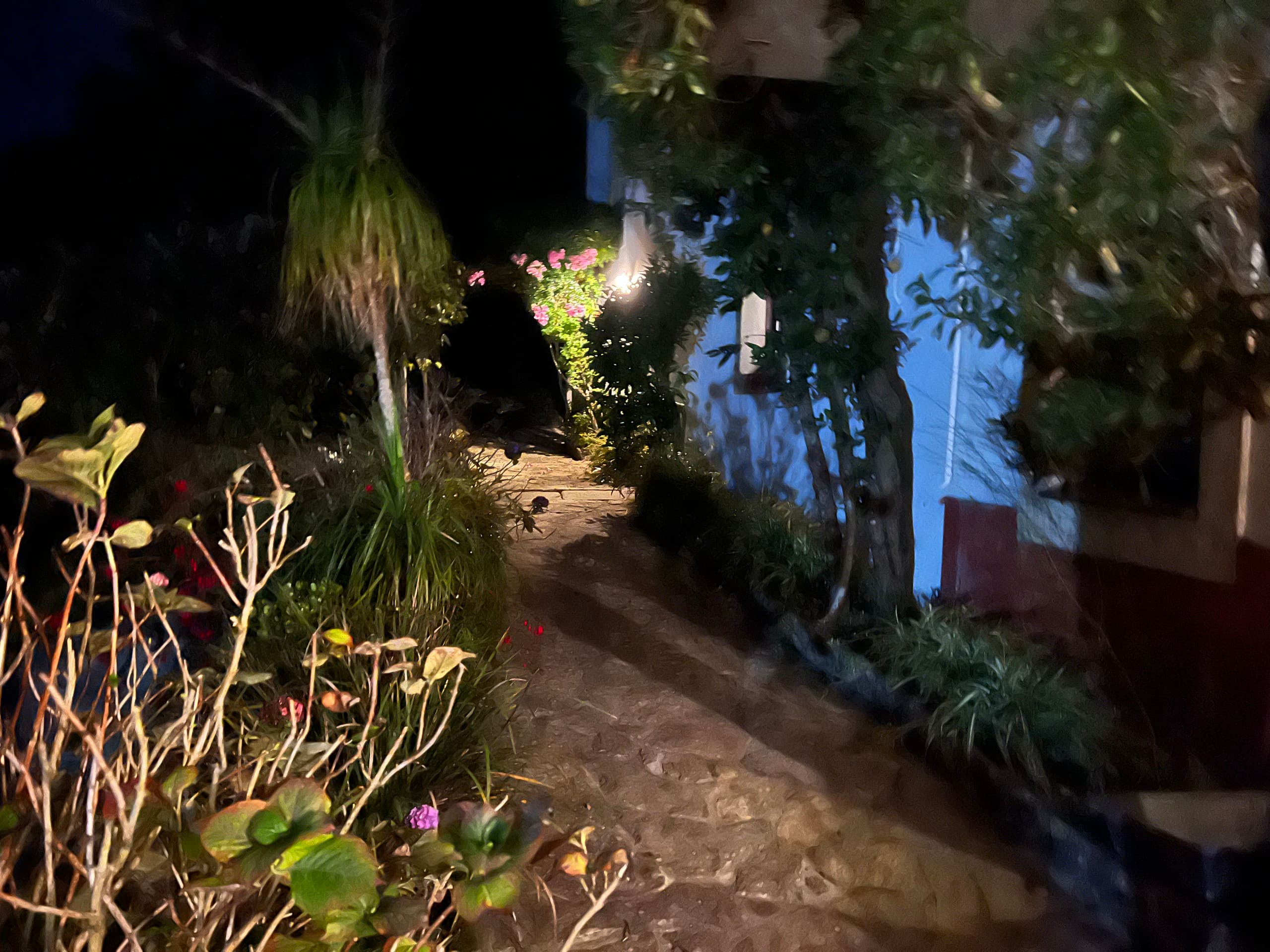 Casa do Celeiro (architect/artist house) 39