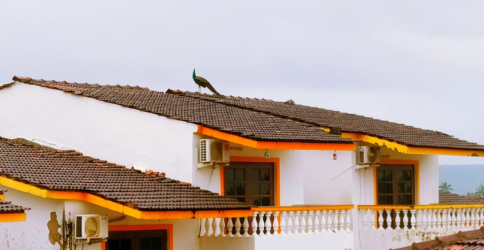 Plumeria Bungalow 1