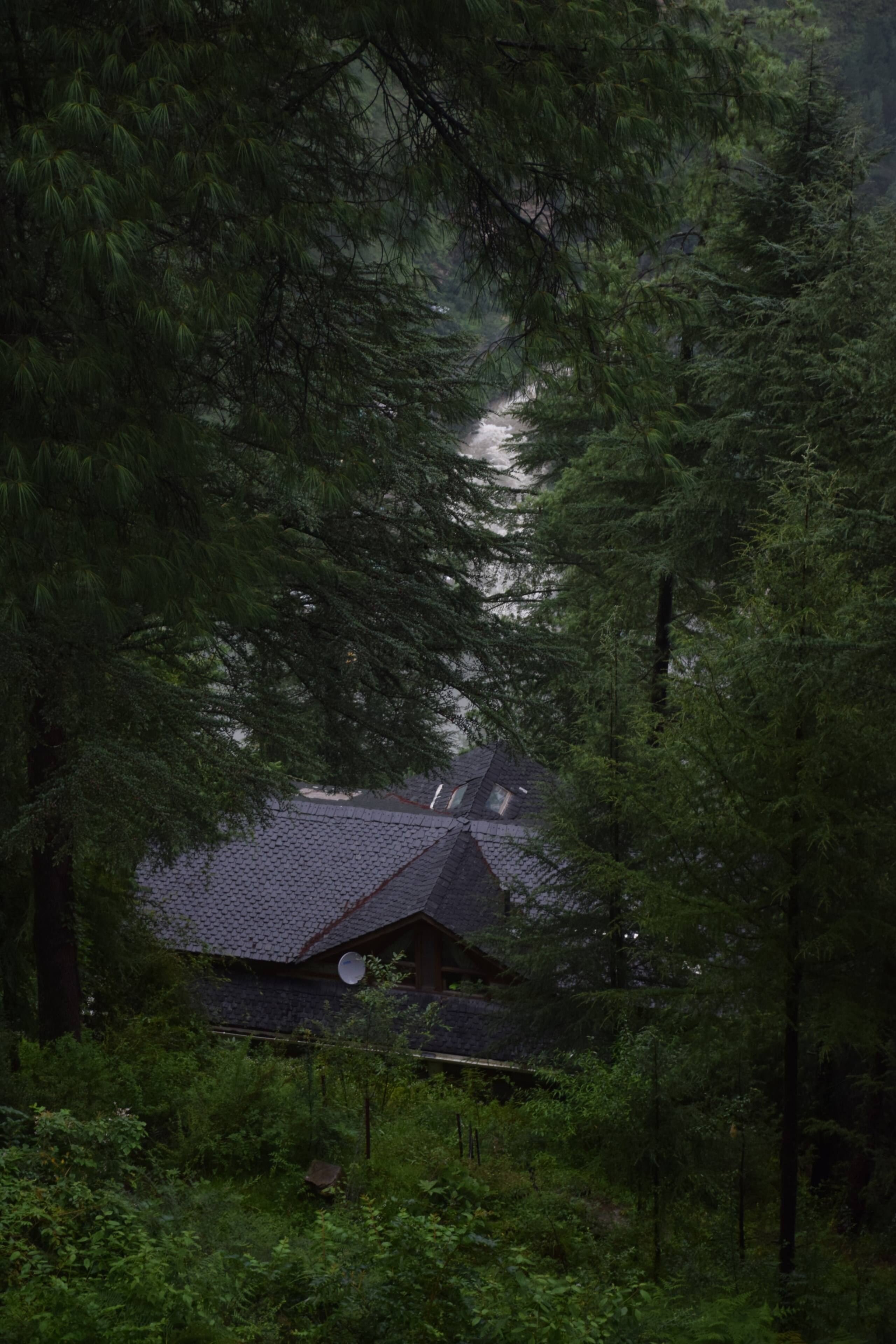 Wood House - Kudrat-A Boutique Homestay in Tirthan 36