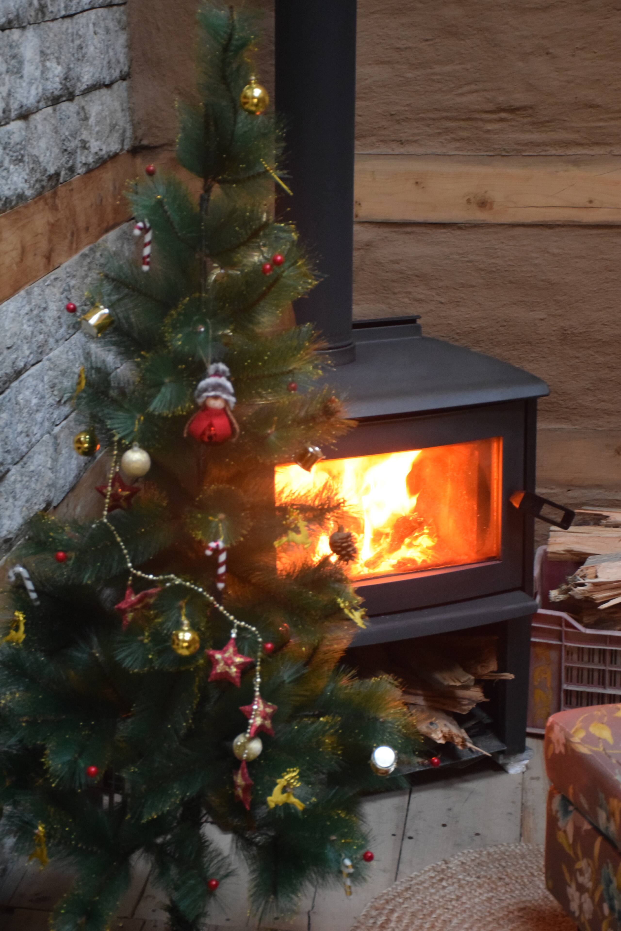 Wood House - Kudrat-A Boutique Homestay in Tirthan 10