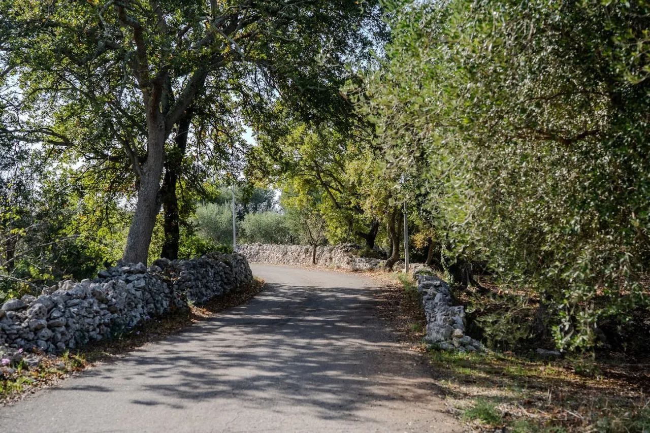 Dimora tra gli Ulivi - Ostuni 16
