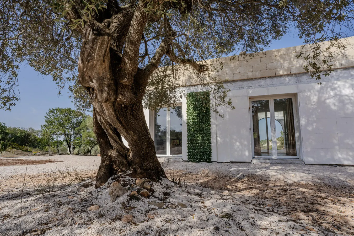 Dimora tra gli Ulivi - Ostuni 6