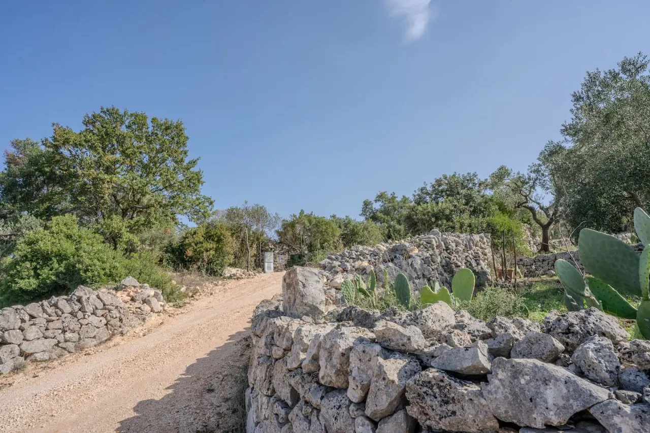 Dimora tra gli Ulivi - Ostuni 7