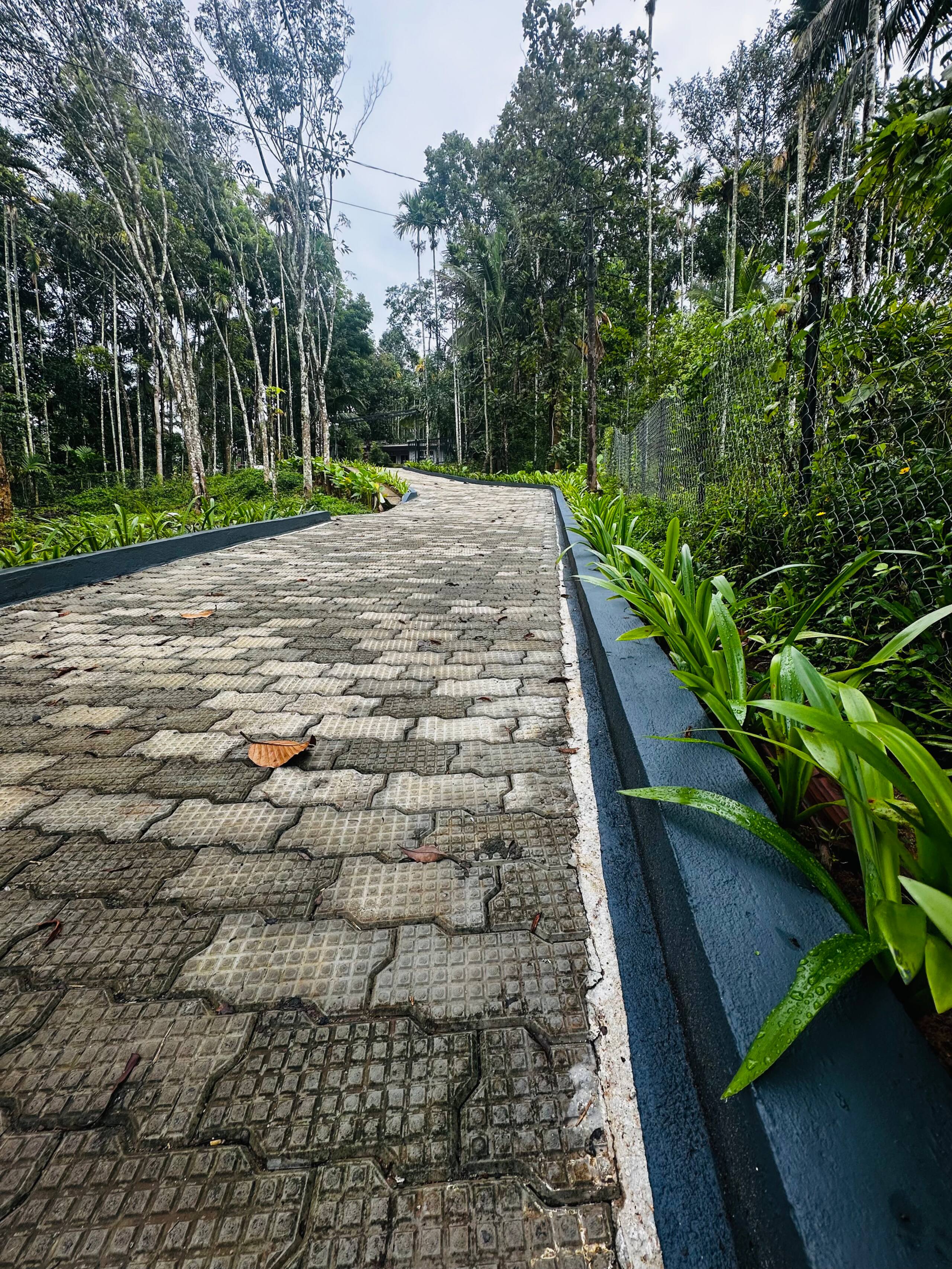 ThunderHill | Premium Private Pool Villa, Wayanad 34