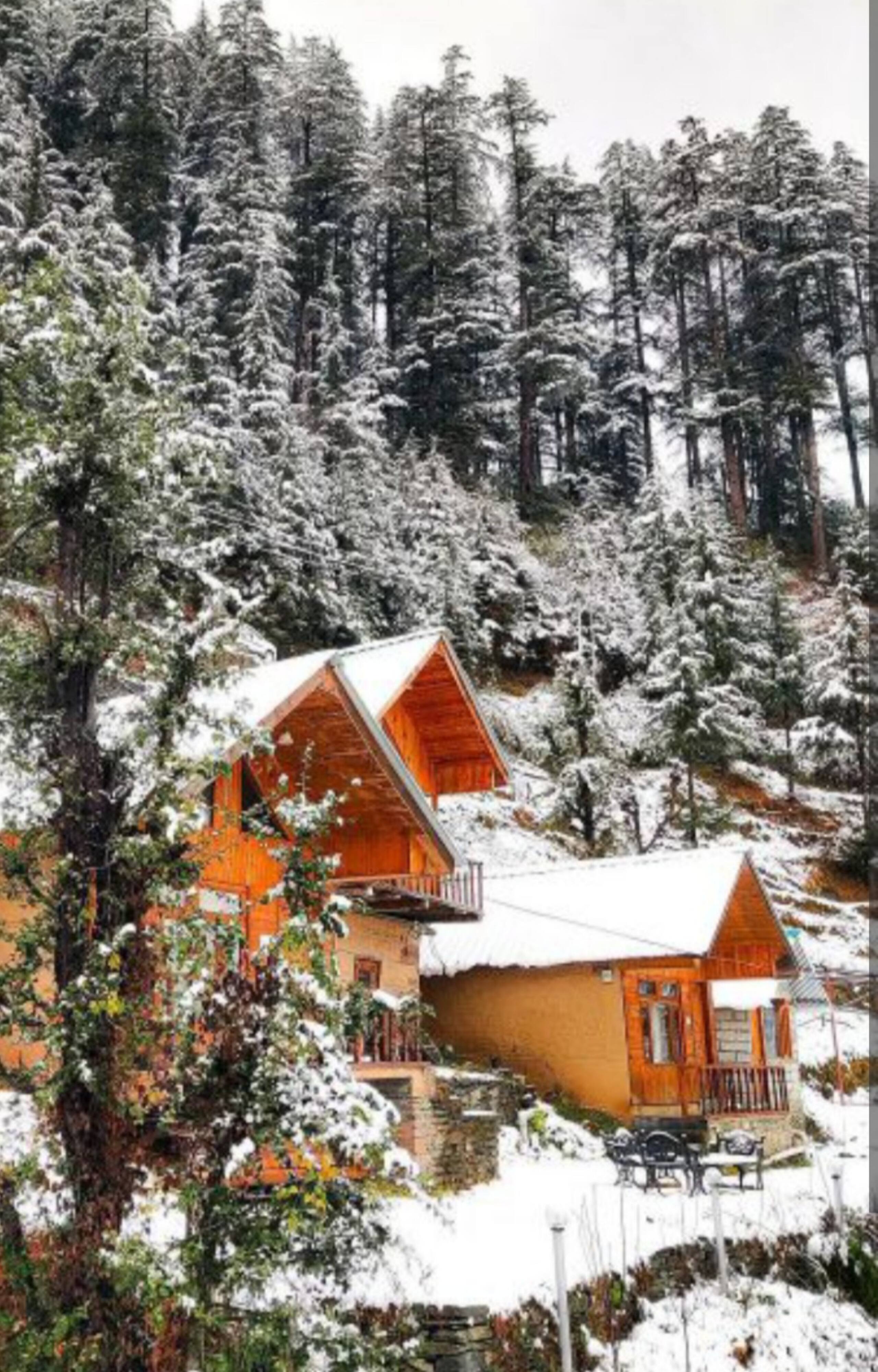 Cabin 02 Anantmaya Stays| Jibhi| 6