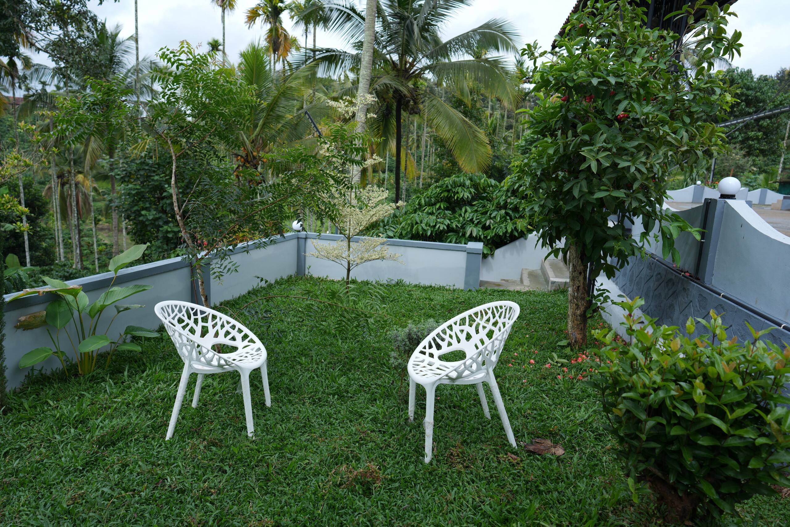 Wayanad Palmgrove Retreat G Floor 33