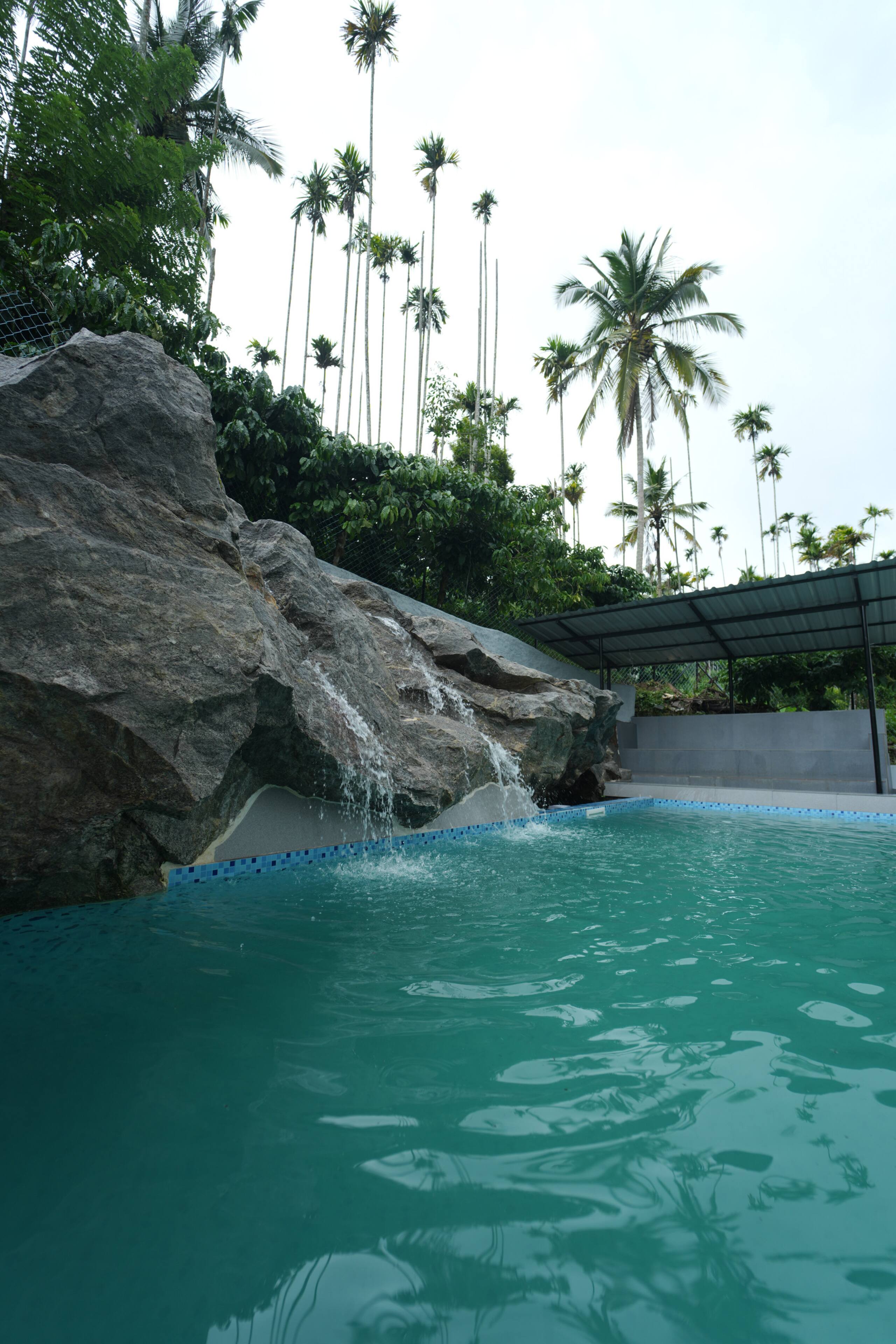 Wayanad Palmgrove Retreat G Floor