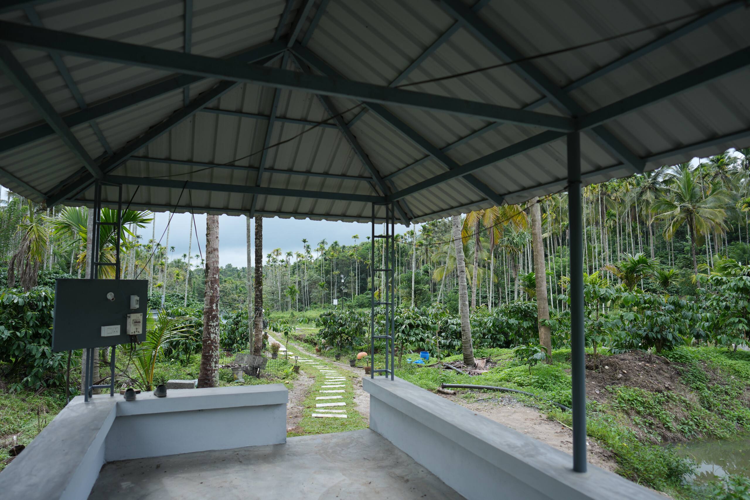 Wayanad Palmgrove Retreat G Floor 30