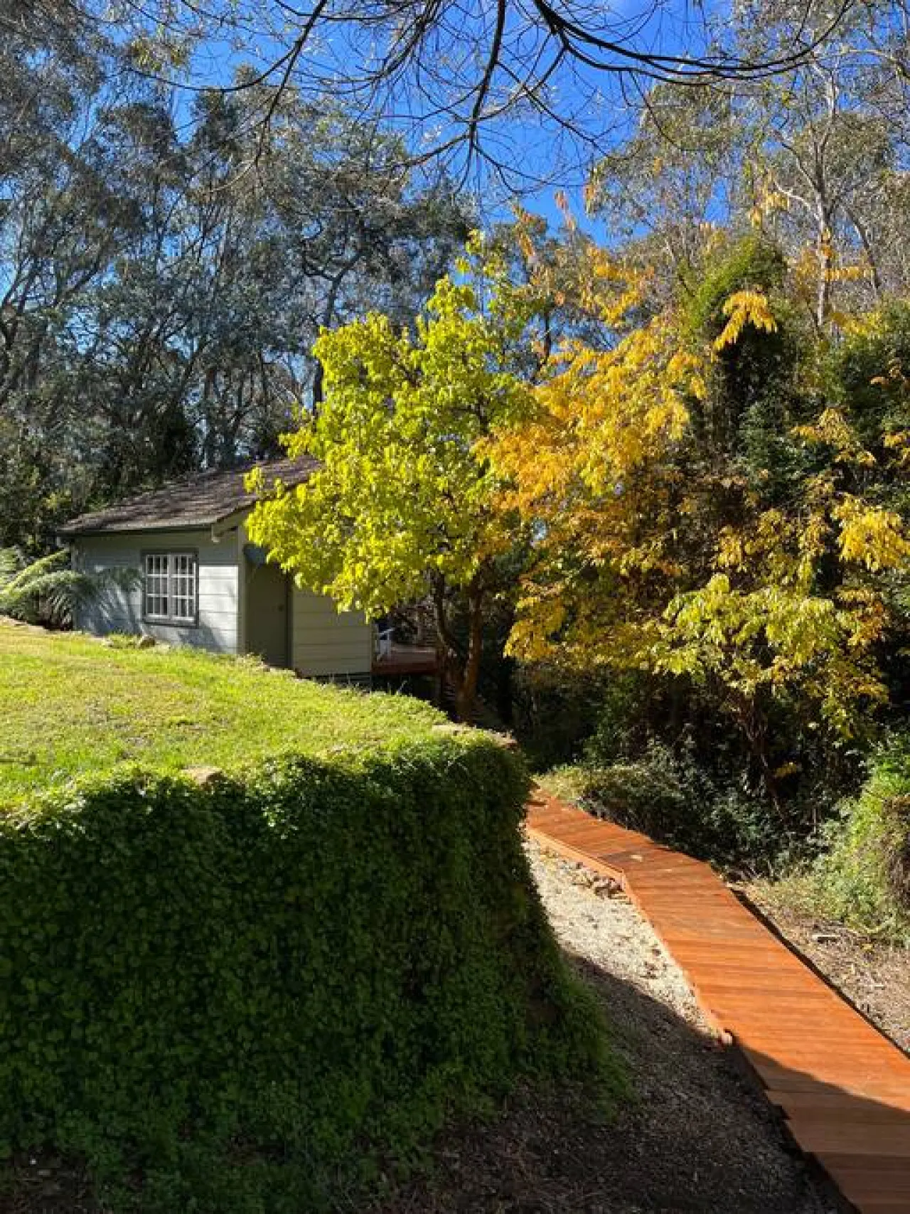 Bottlebrush Cabin cosy private cabin in the trees 18
