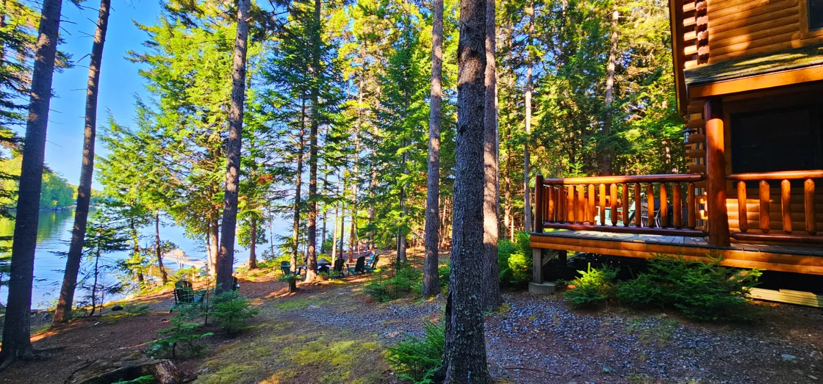 Pine Camp 15