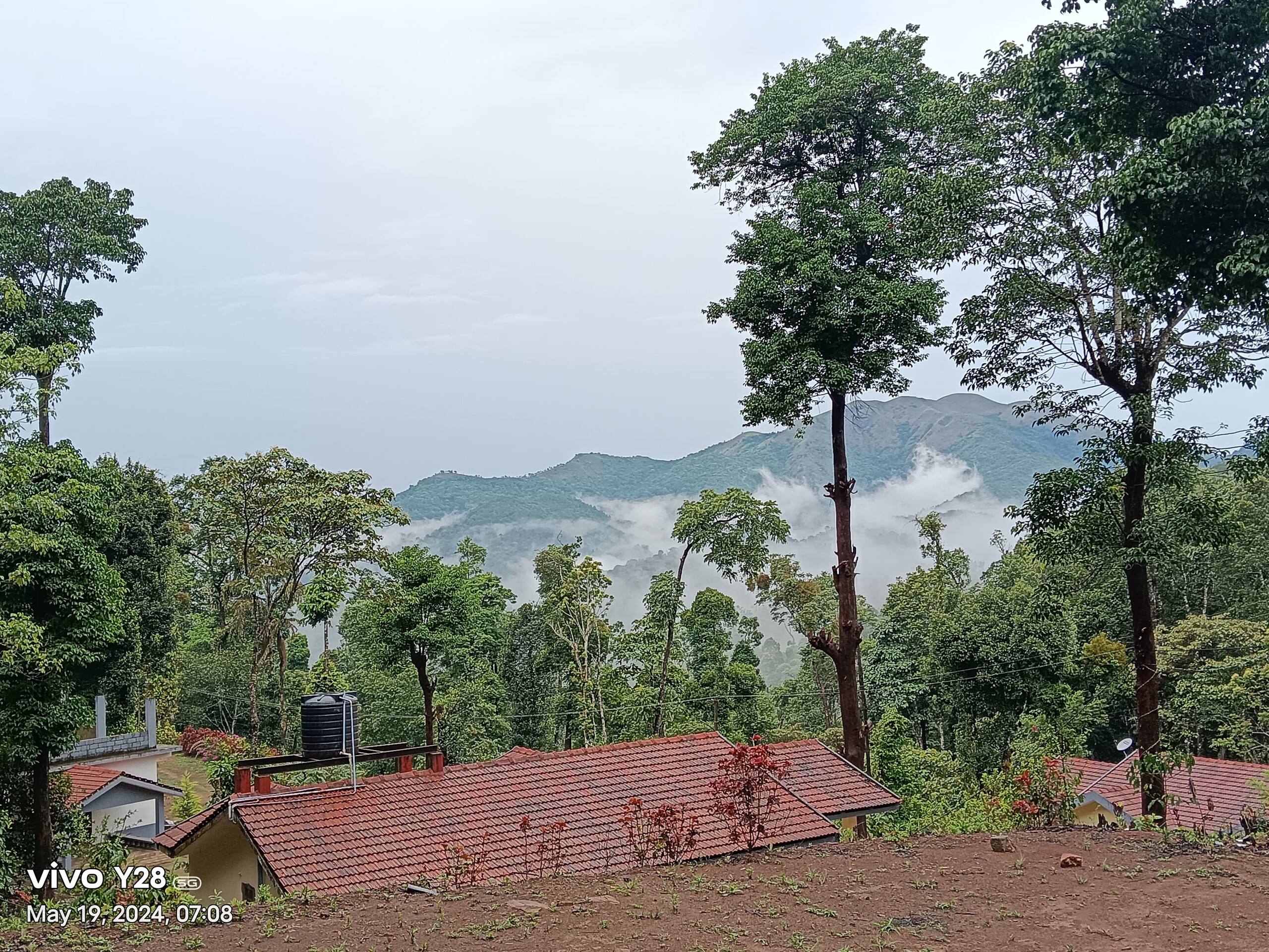 Green Echoes by Tripture - Hilltop Villa in Coorg 6