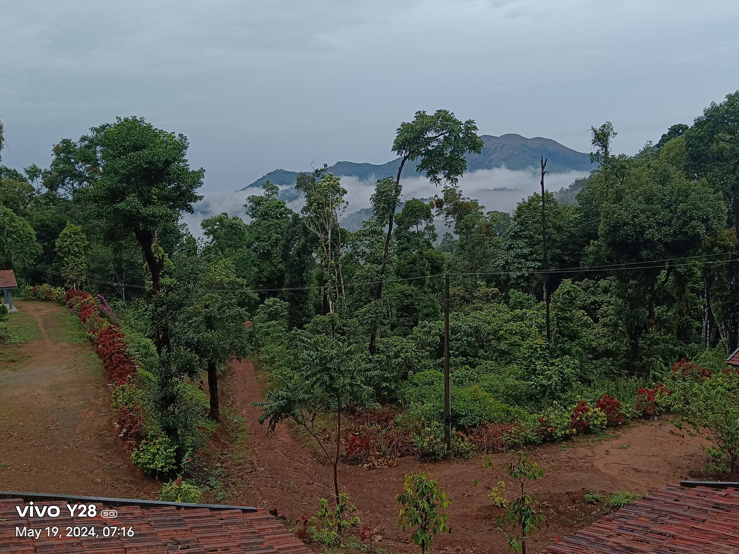 Green Echoes by Tripture - Hilltop Villa in Coorg 9