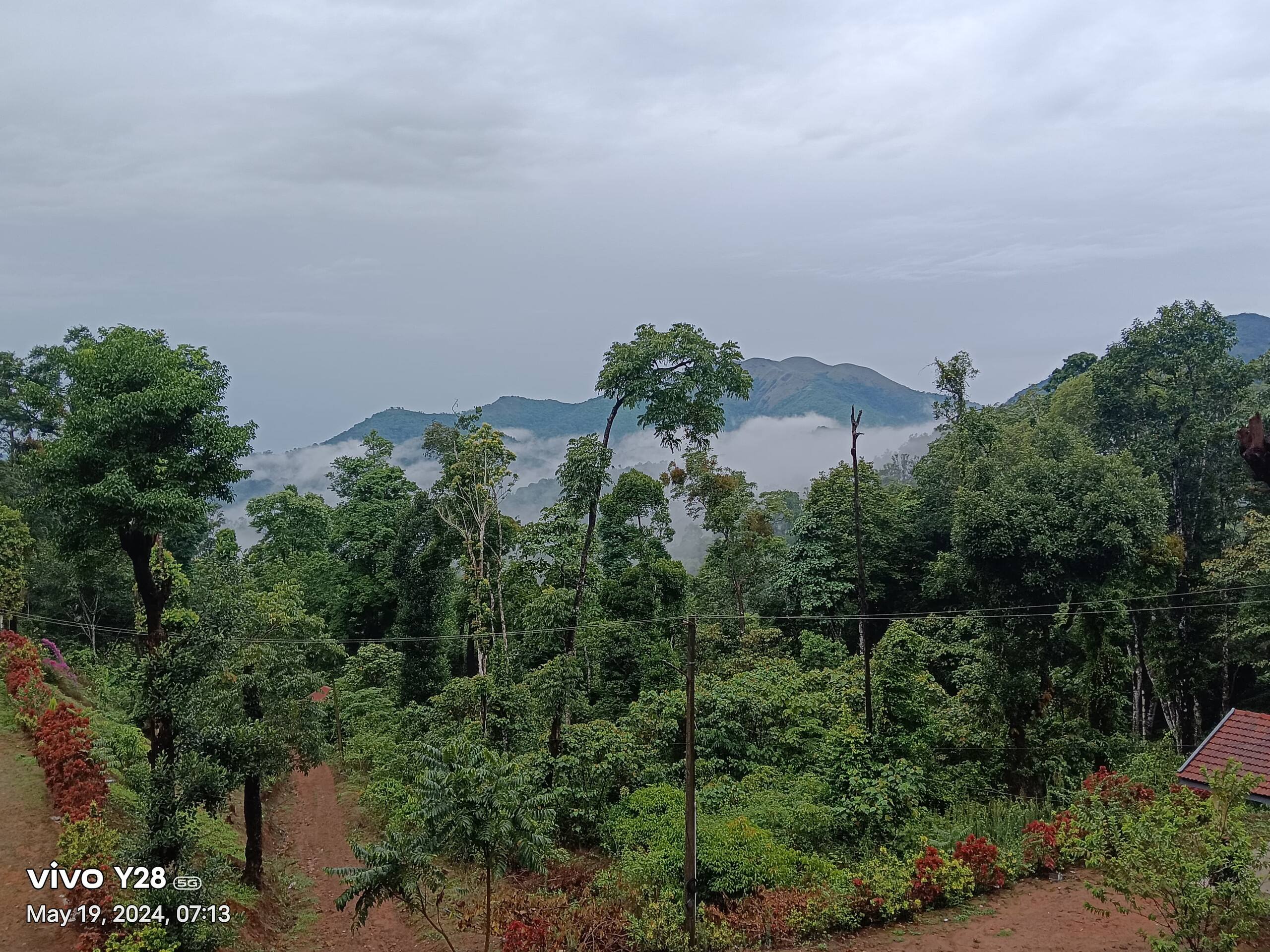 Green Echoes by Tripture - Hilltop Villa in Coorg 8