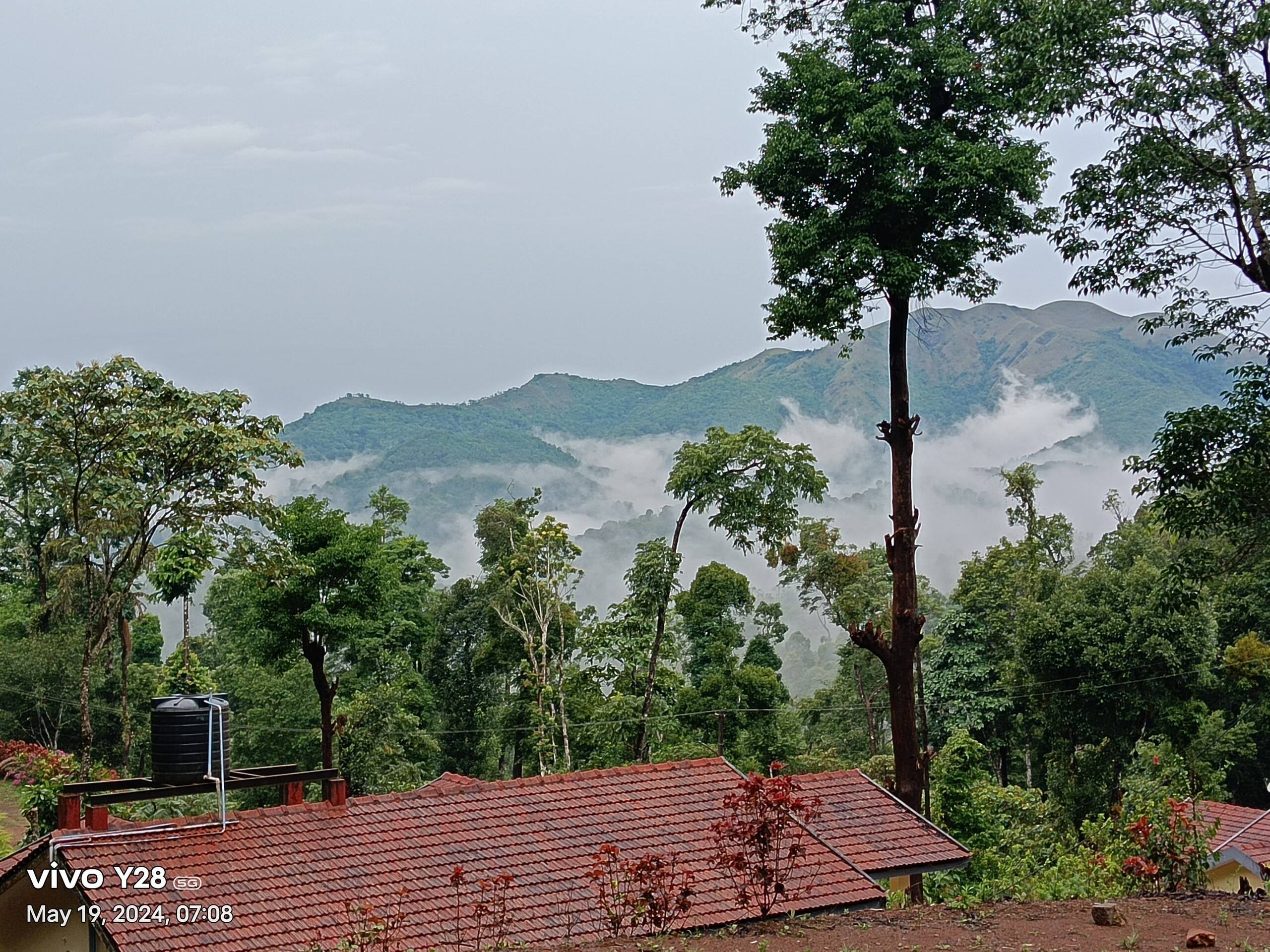 Green Echoes by Tripture - Hilltop Villa in Coorg 7