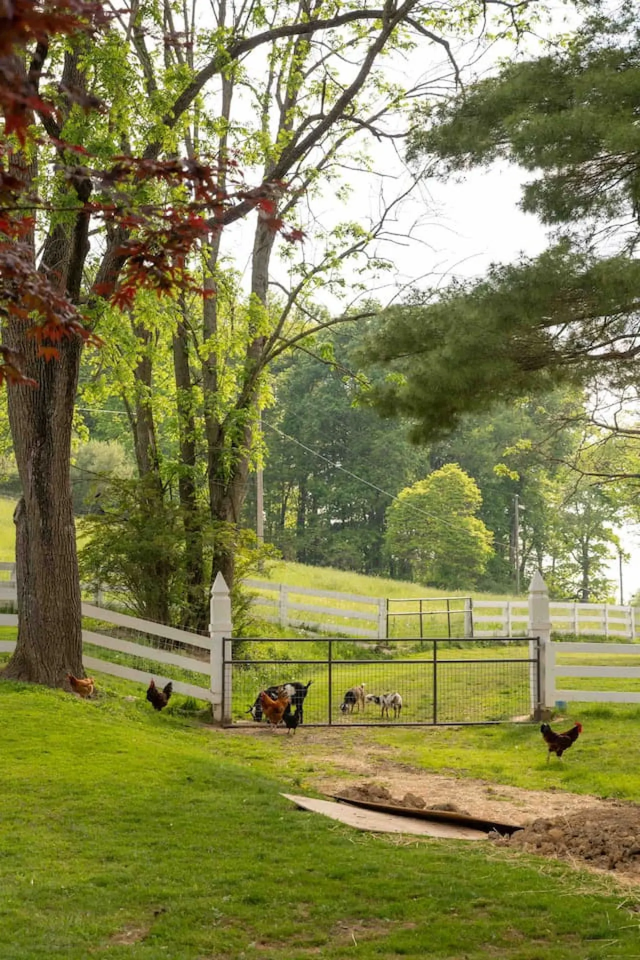 Farmhouse Unique Country Getaways 9