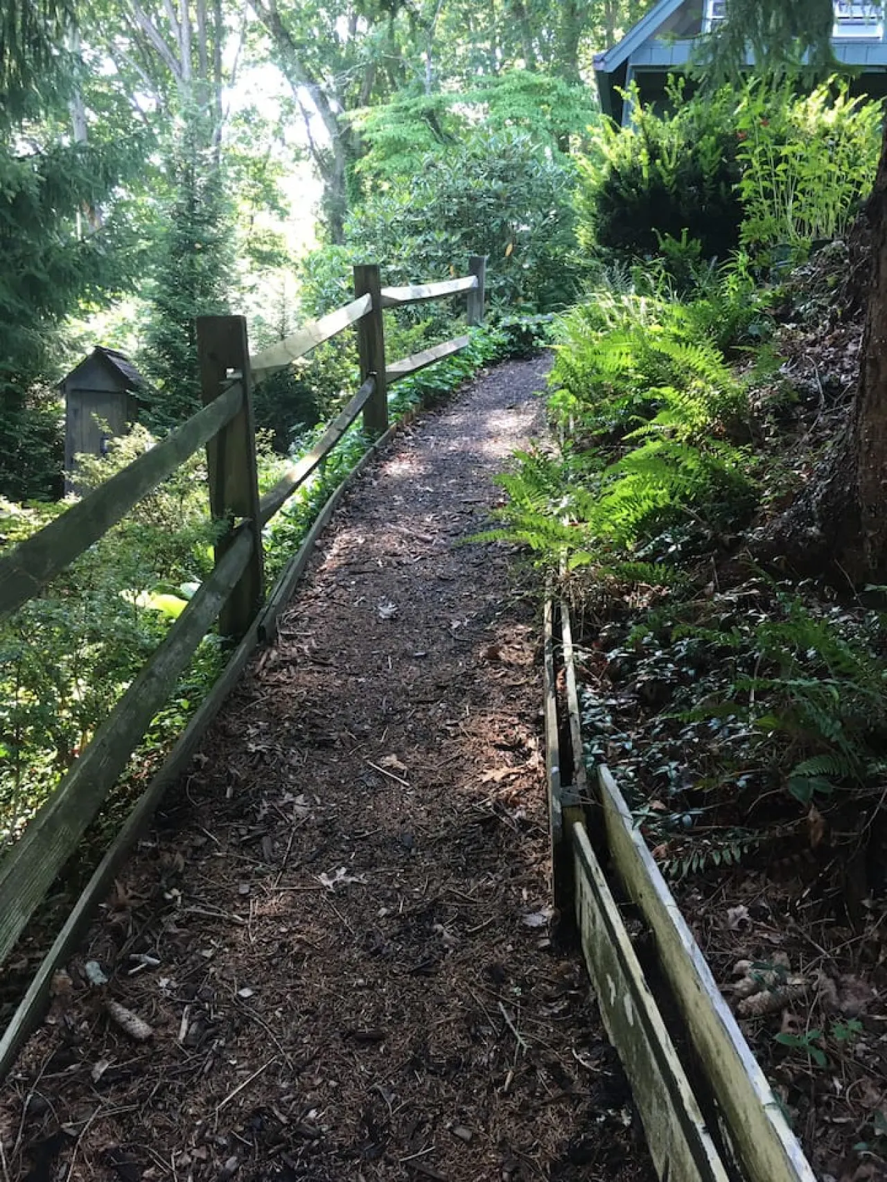 Perfect Location to Asheville, Smoky Mtns, Hiking 16