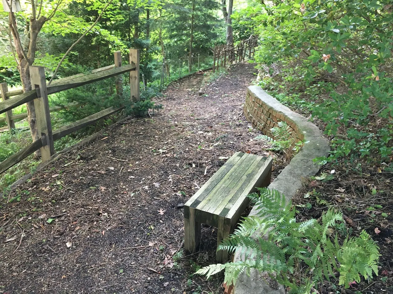 Perfect Location to Asheville, Smoky Mtns, Hiking 20