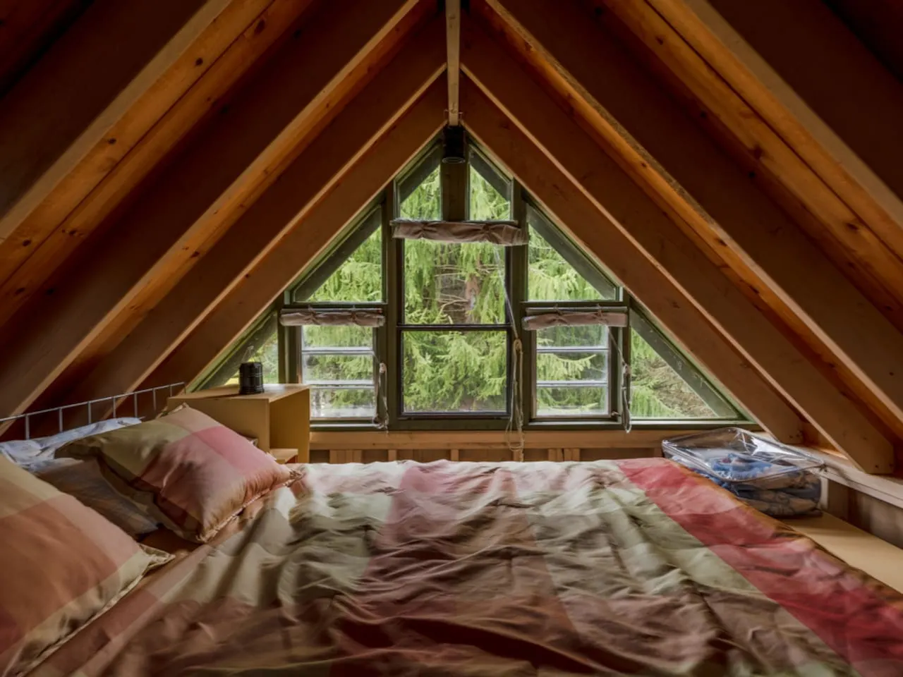 Perfect Location to Asheville, Smoky Mtns, Hiking — photo 4