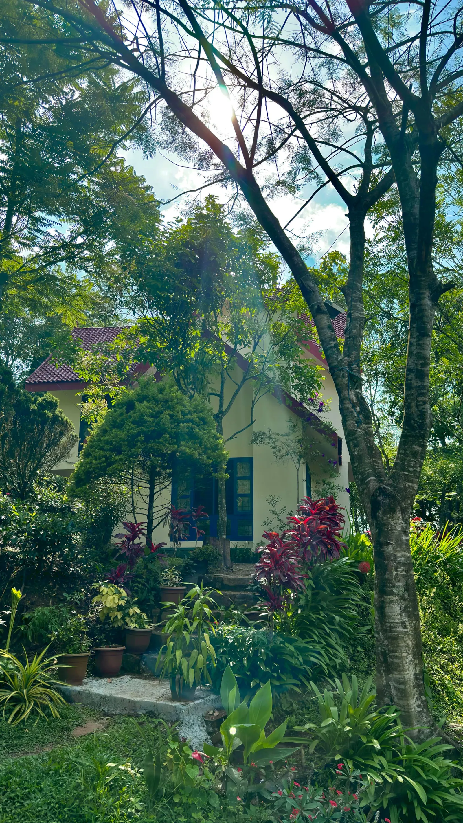 Silver Oaks Plantation Cottage 1