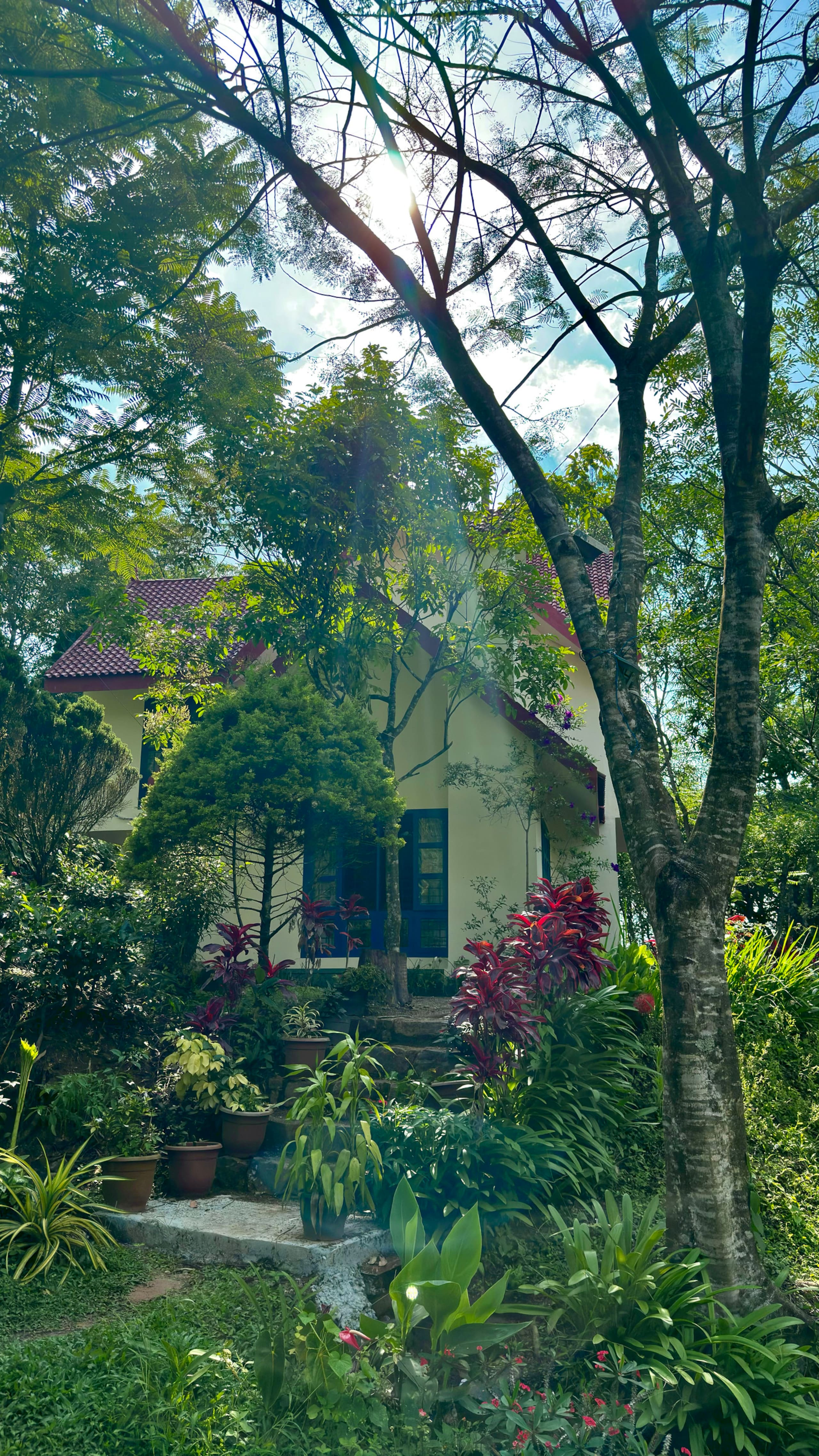 Silver Oaks Plantation Cottage