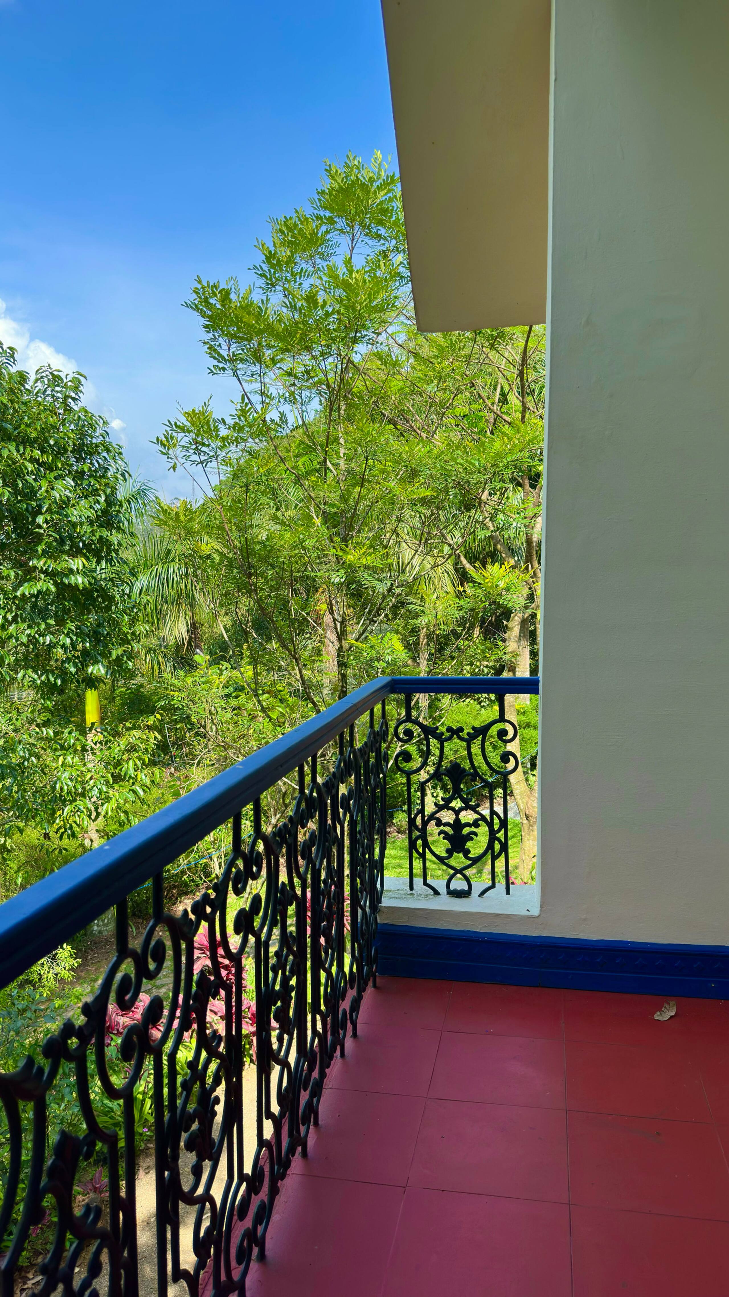 Silver Oaks Plantation Cottage 17