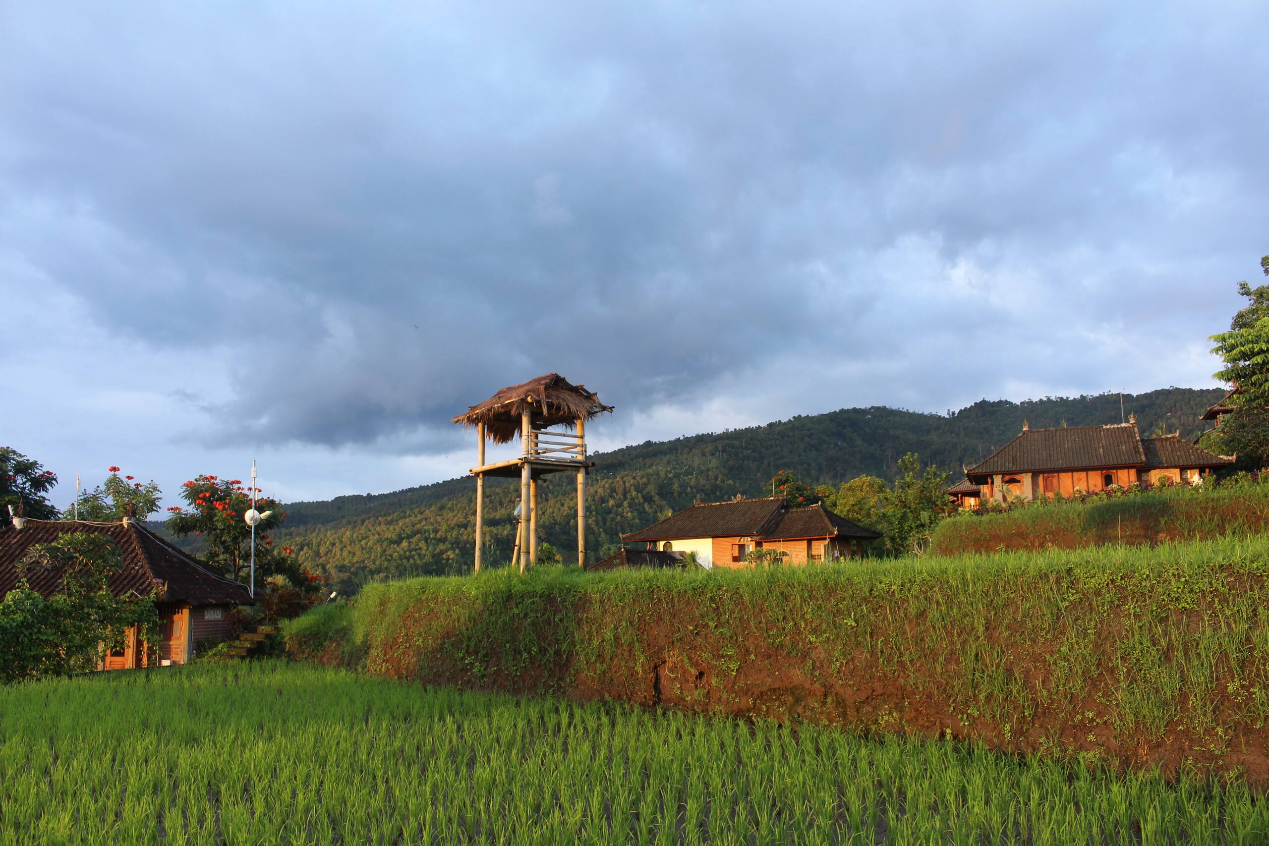 Puri Lumbung Cottages, Lumbung Heritage 27