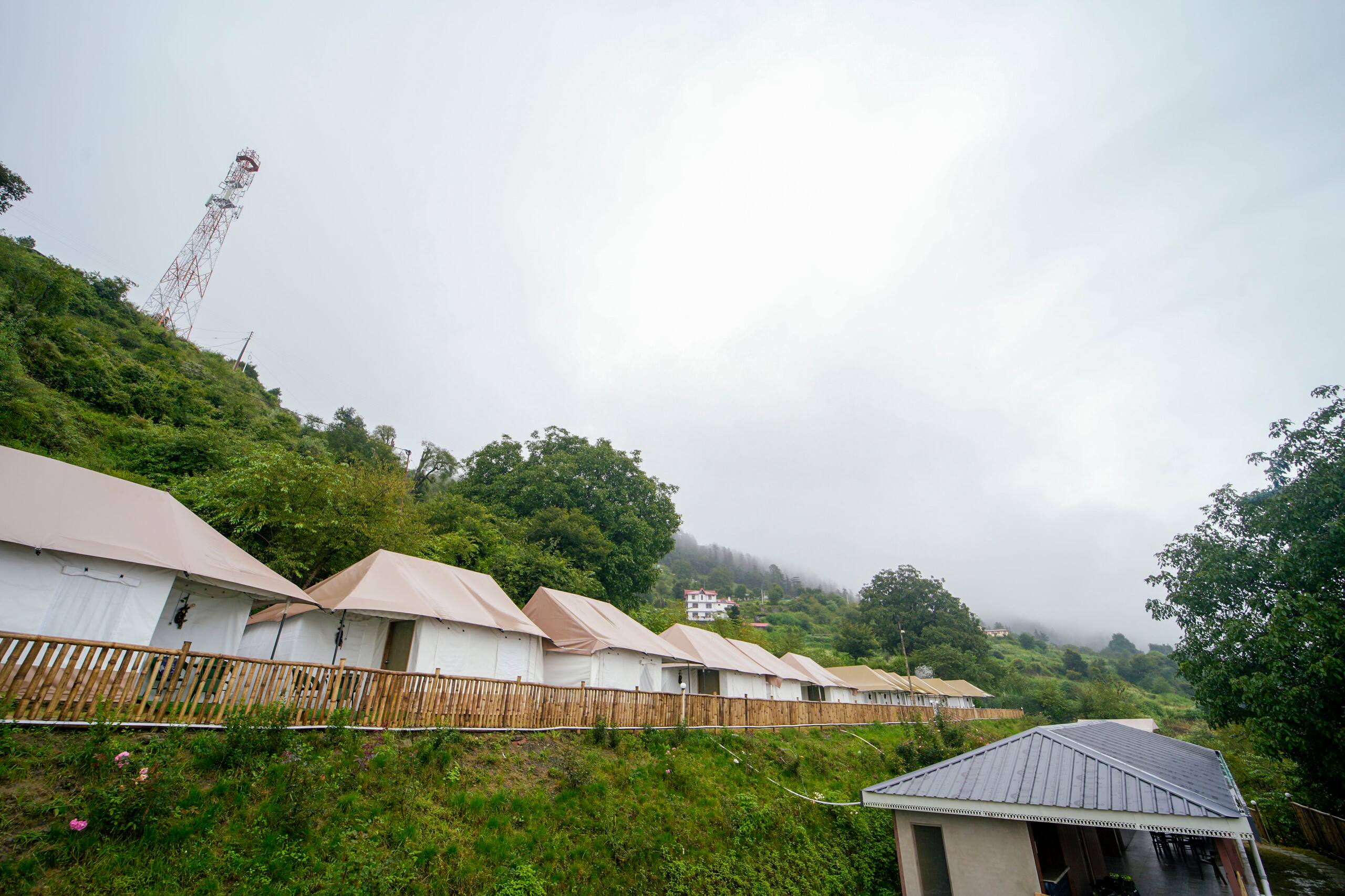 Skylight Retreat - Chail 2BR Luxury Glamping 301 6