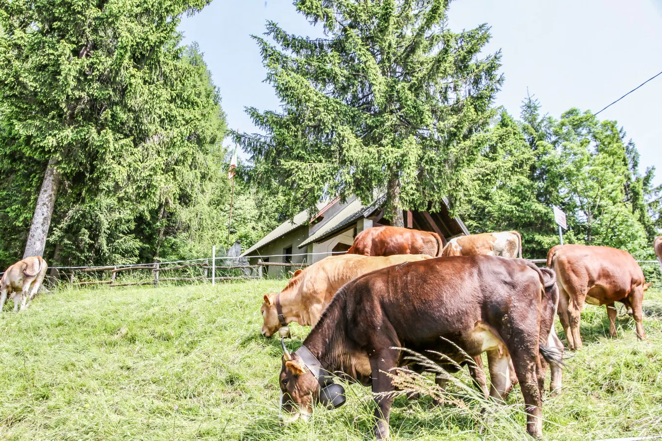 Dimora Familiare tra le Prealpi Bresciane — photo 5