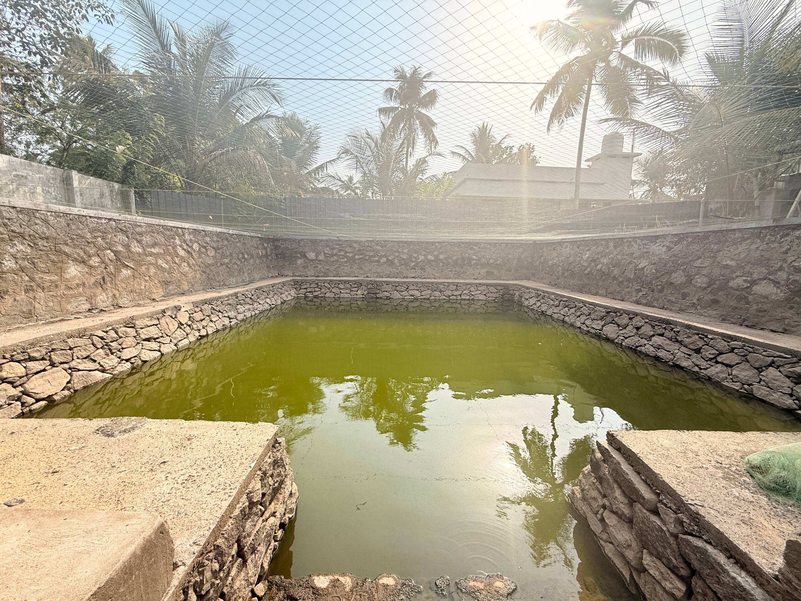 Organic Farmstay in Kerala 29