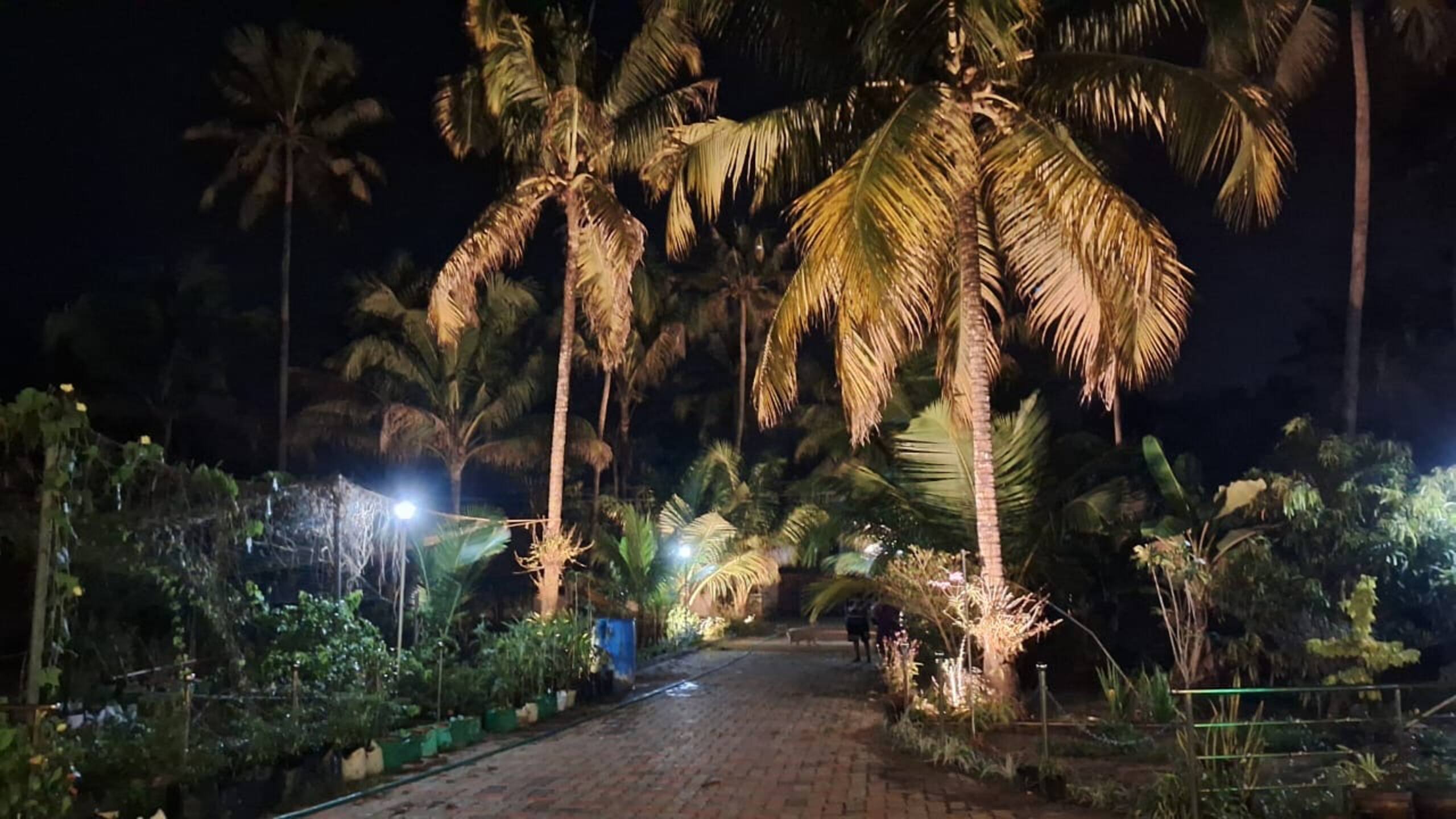 Organic Farmstay in Kerala 21