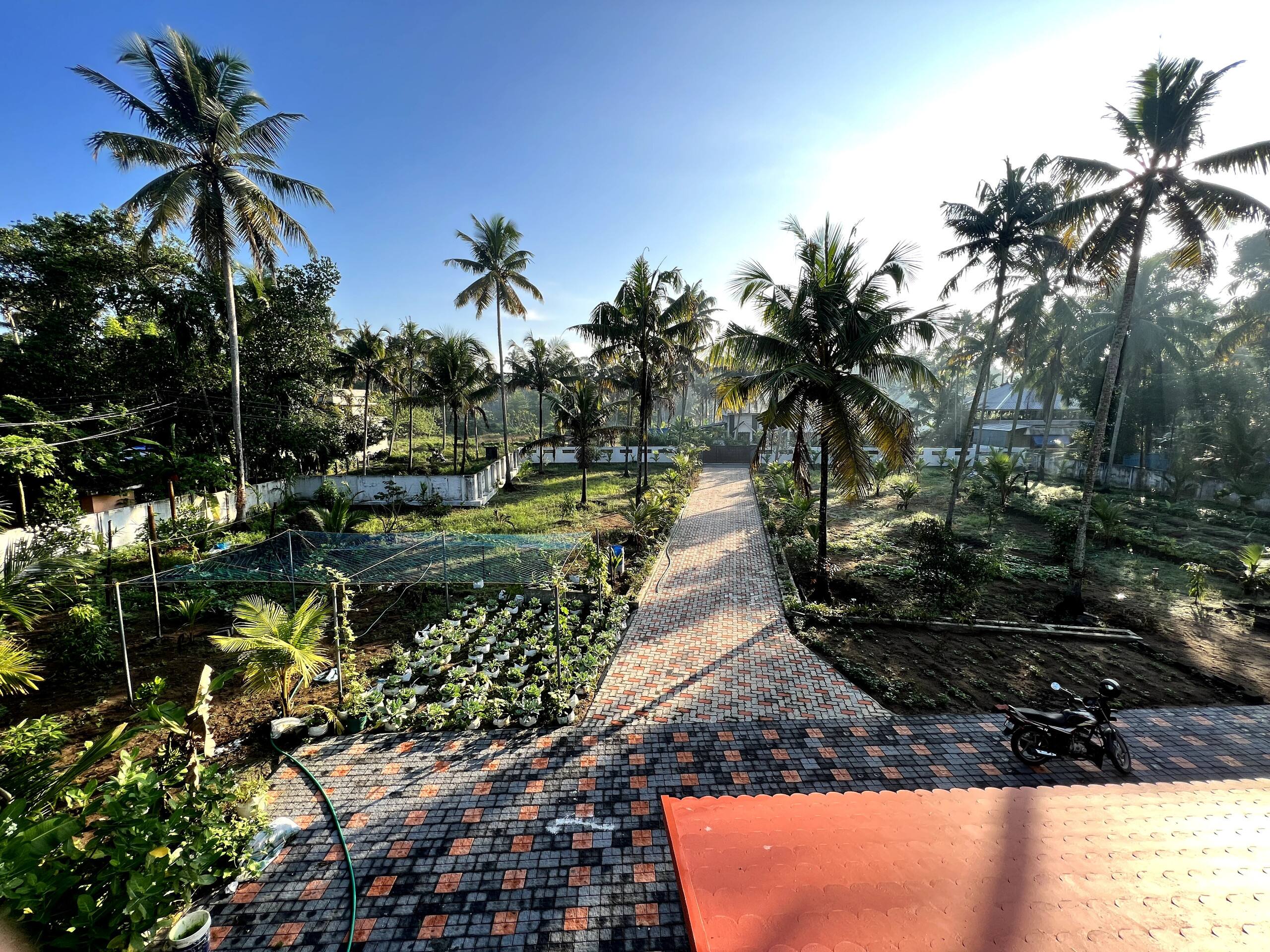 Organic Farmstay in Kerala 15