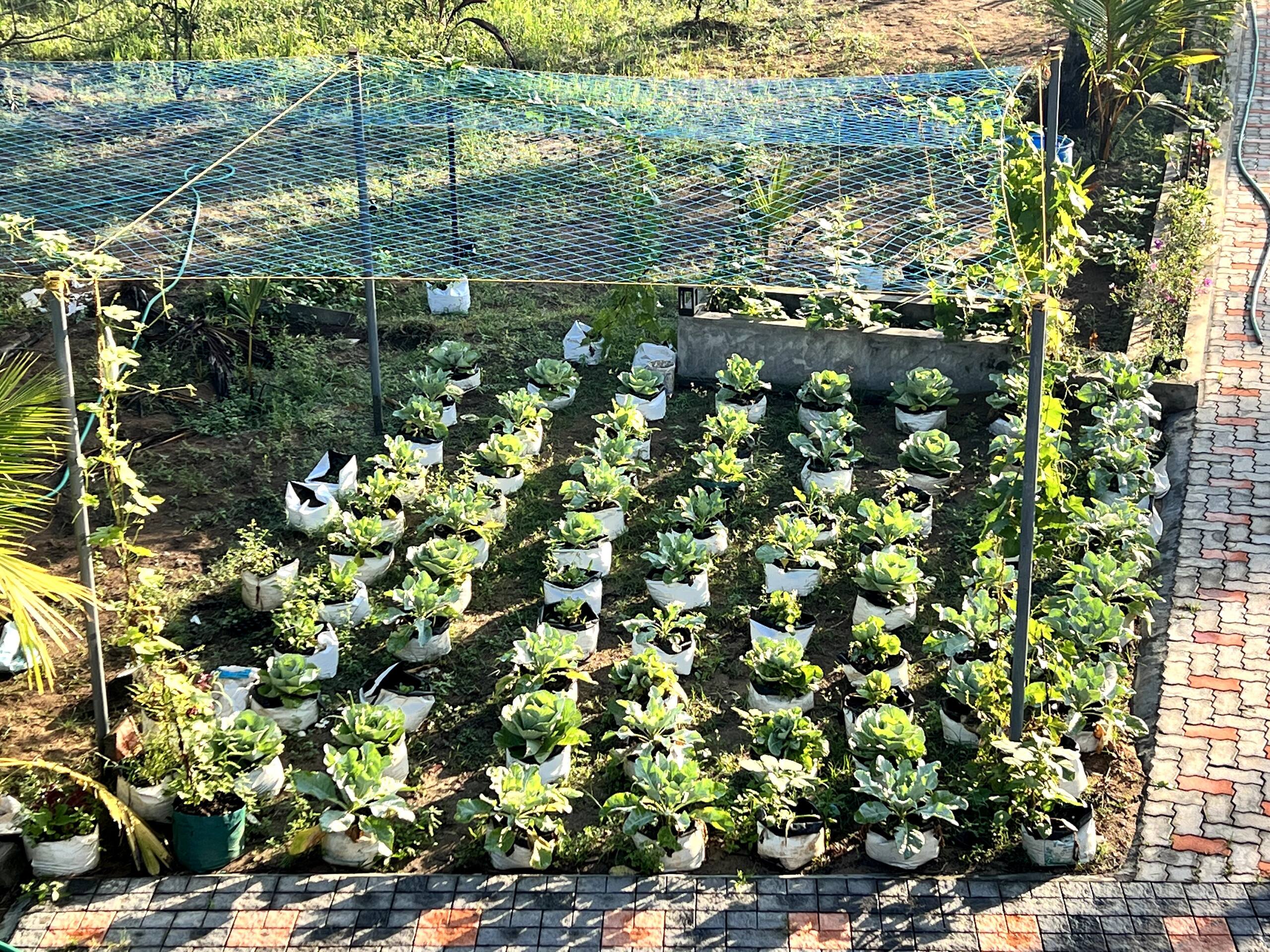 Organic Farmstay in Kerala 18