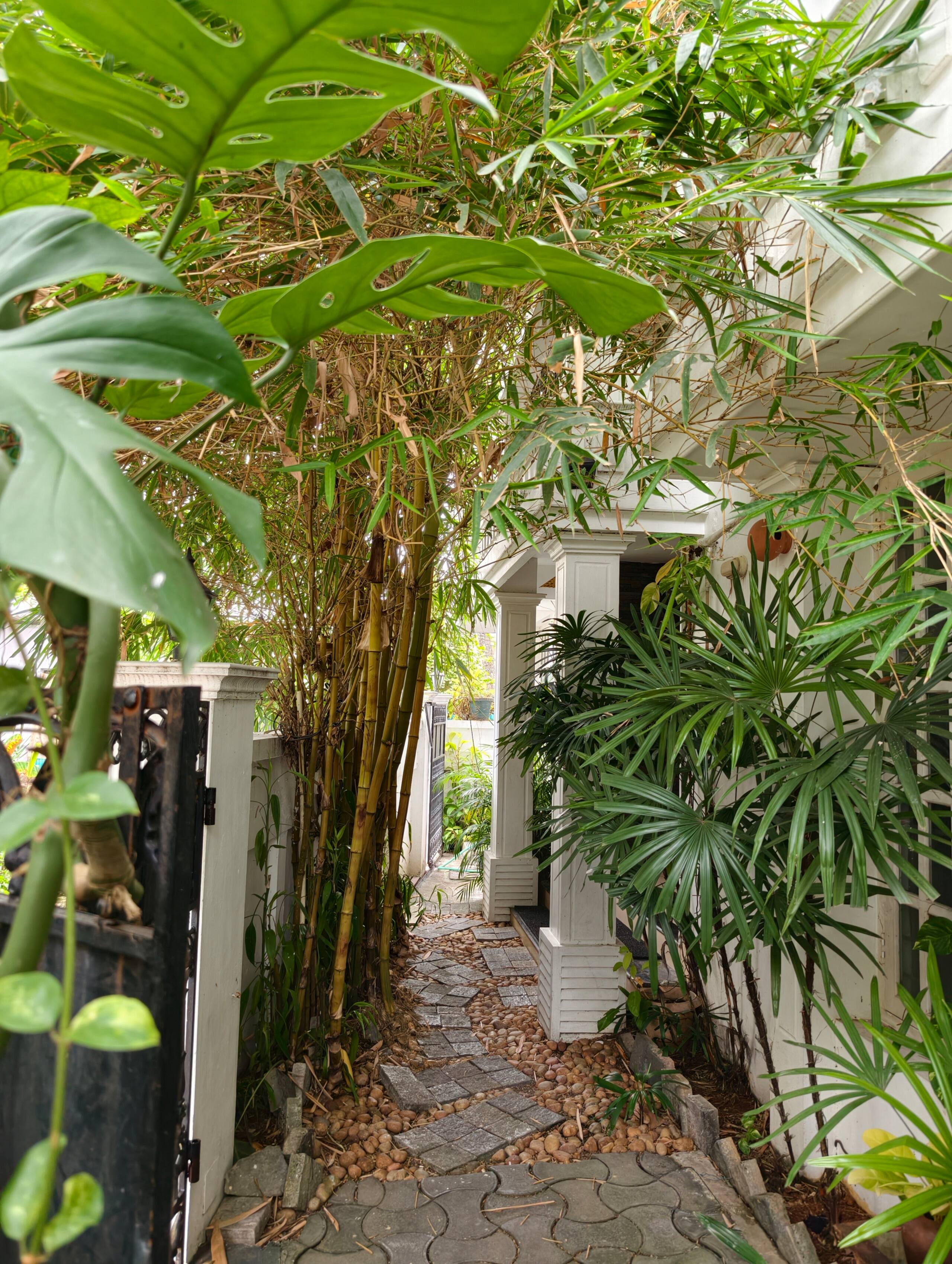Raindrop Fort kochi 15