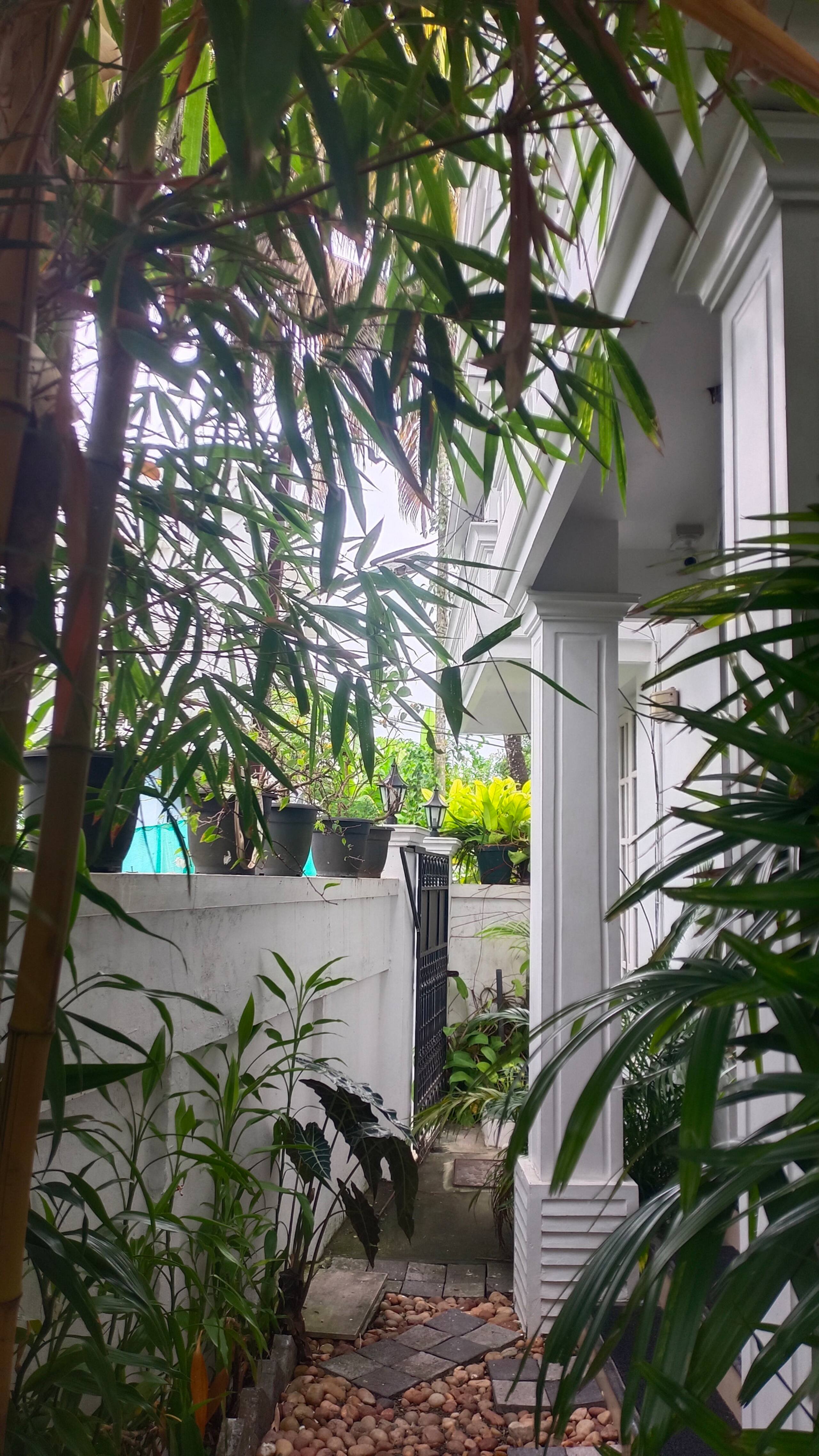 Raindrop Fort kochi 17