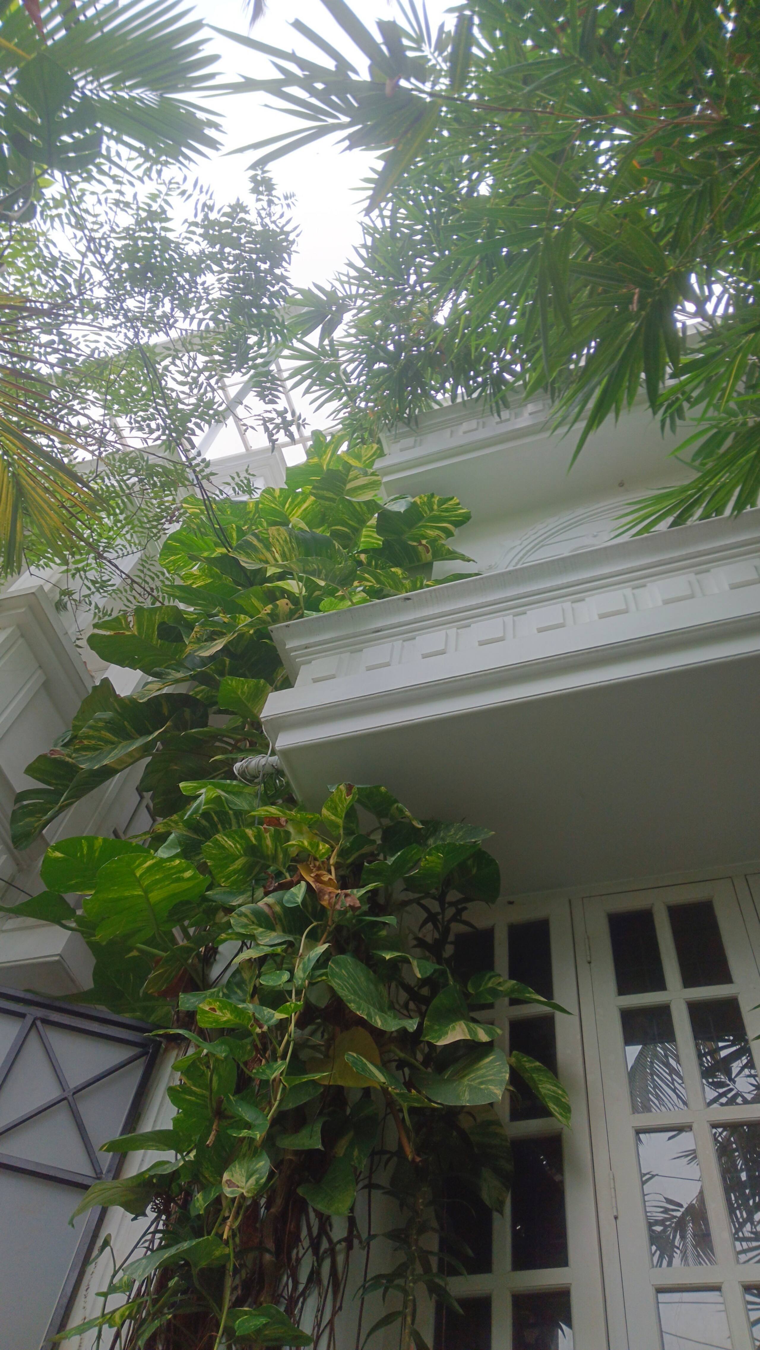 Raindrop Fort kochi 18