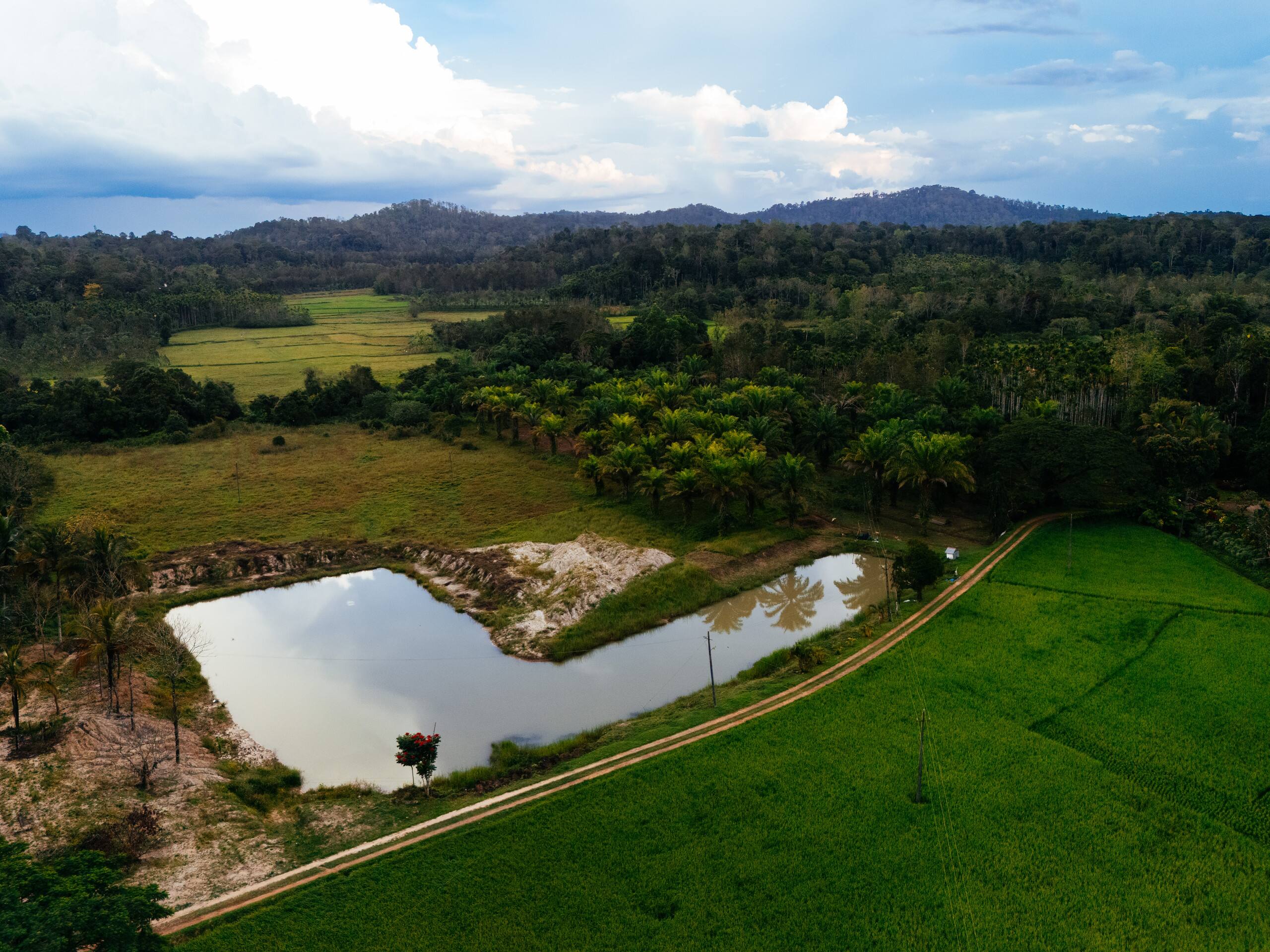 Poomale by Raho Estate View Villa in Coorg 3